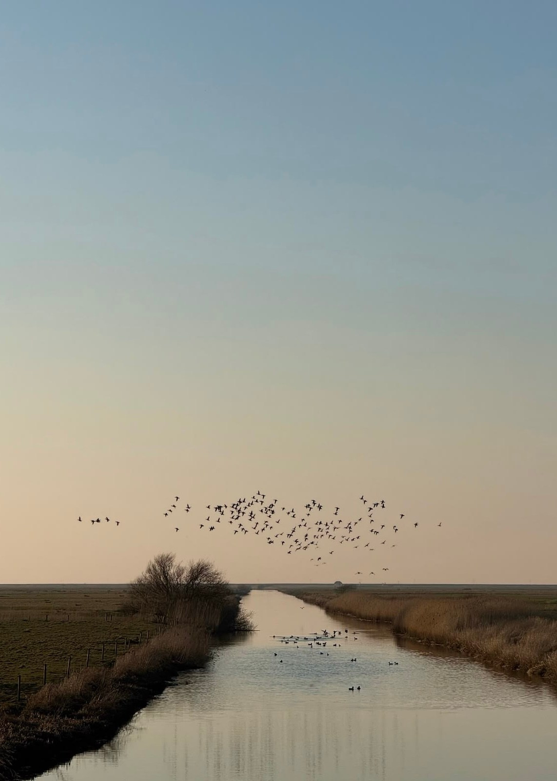 Фотограф