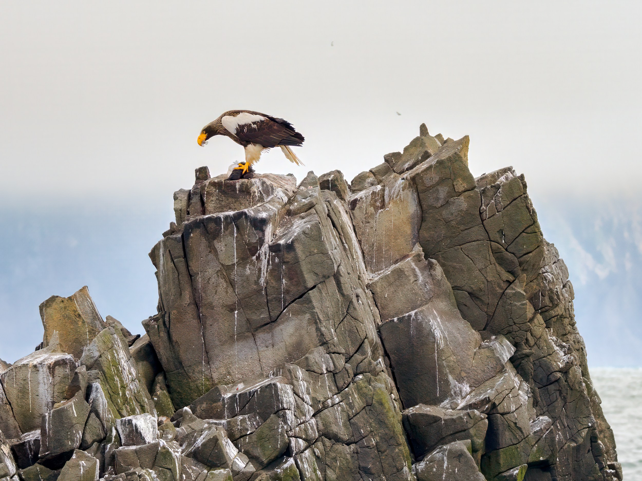 Сайт московского фотографа Дениса Иванова