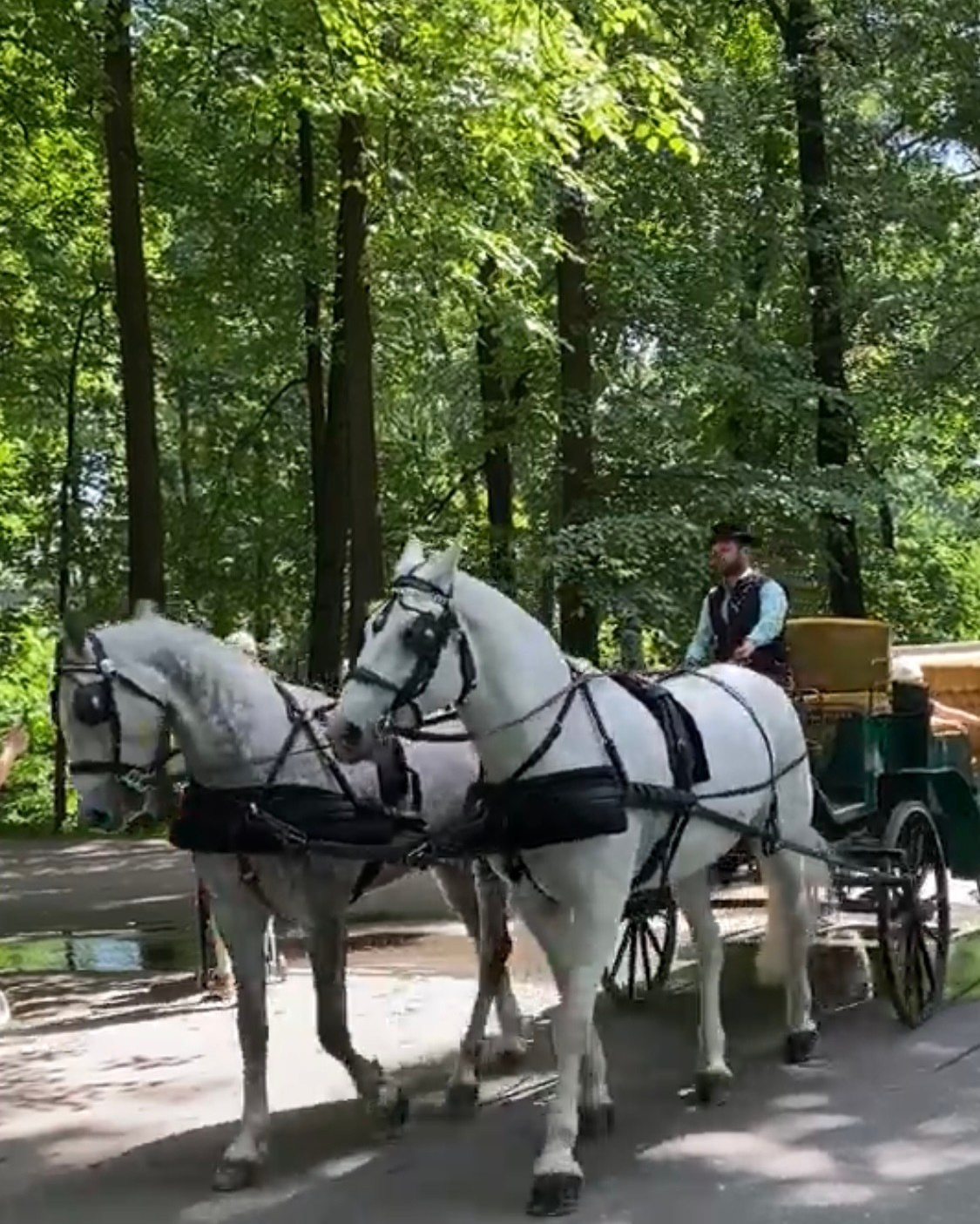 Усадьбы. Экскурсовод по Москве Беляева Валентина