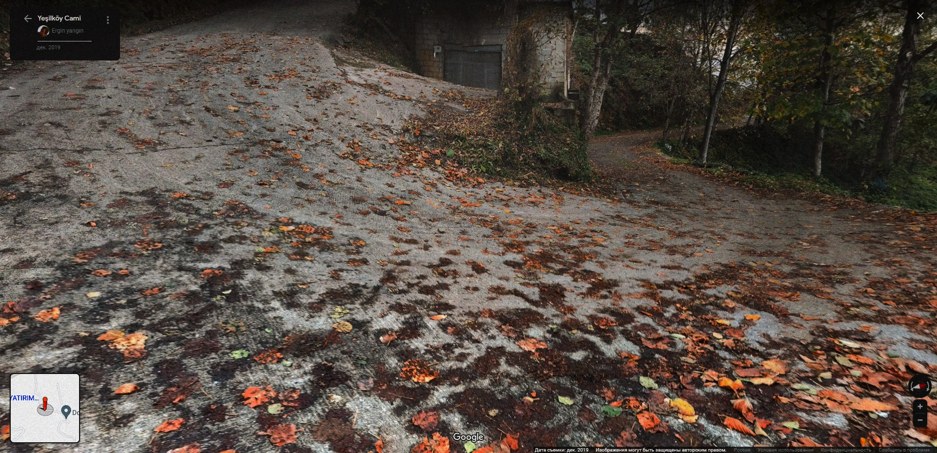 Хочу в Грузию. Фотограф Паша Максимов