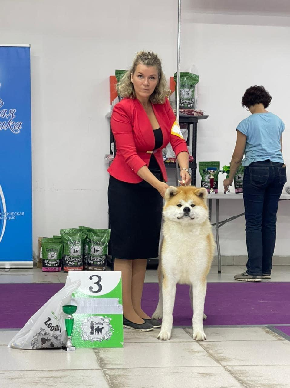 2022. SHIOMARU Shiba and Akita Inu Kennel