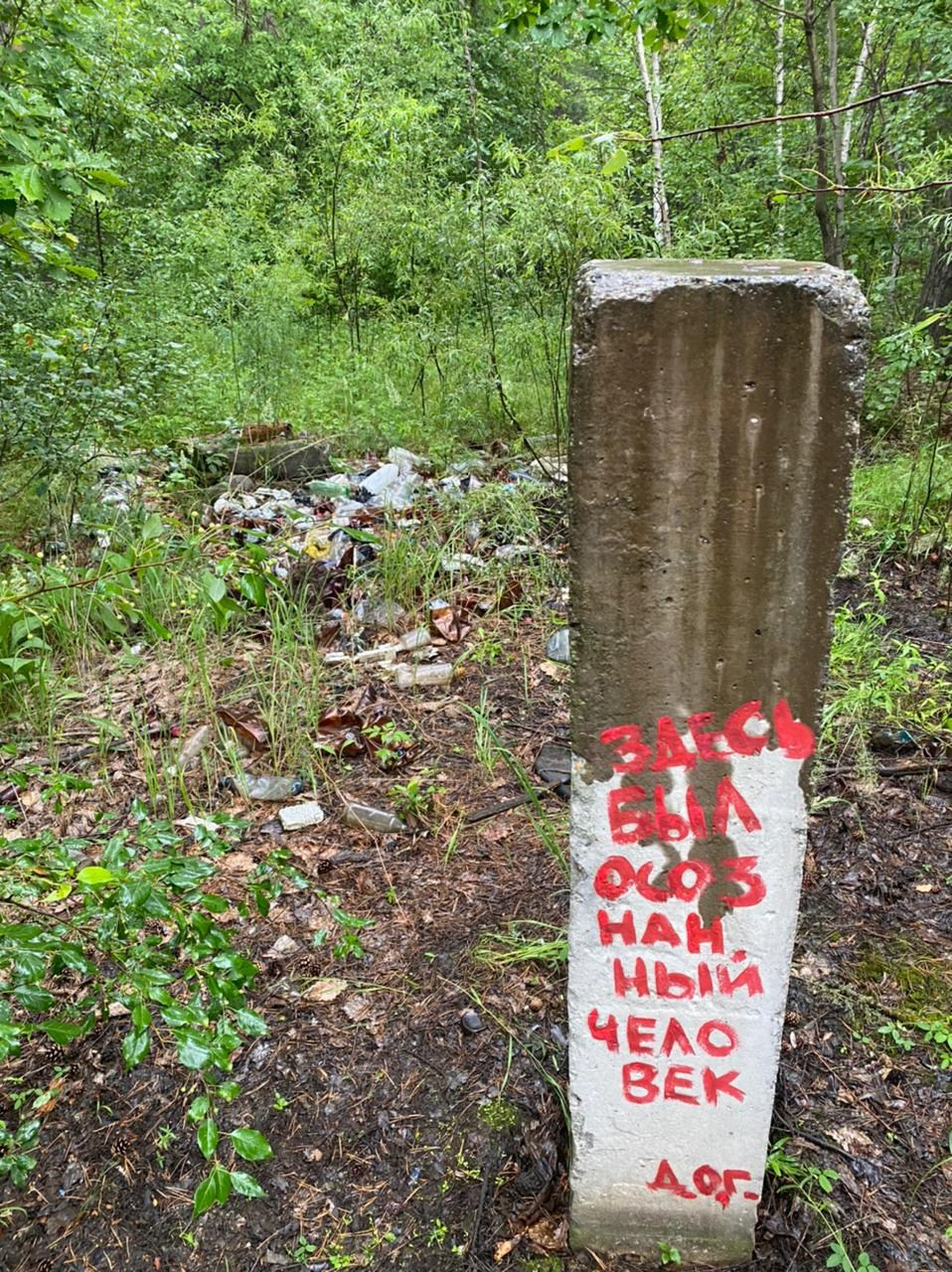 Осознанный землянин. Художник Рыбак Николай