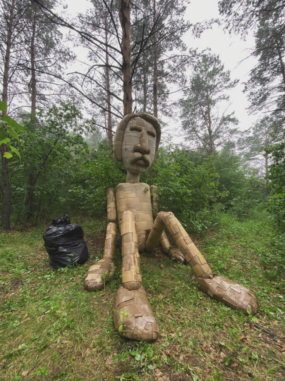 Осознанный землянин. Художник Рыбак Николай