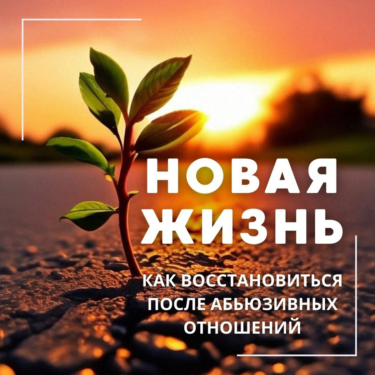 Новая жизнь или как восстановиться после абьюзивных отношений. Психолог Александр Шебанов