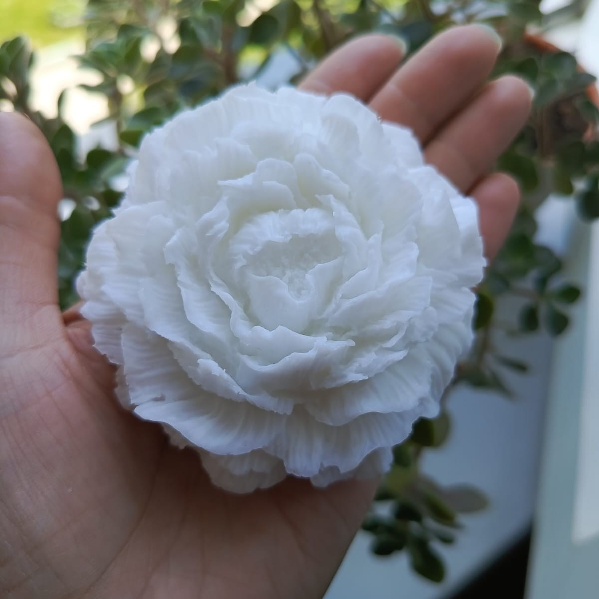 Свечи. Компания КОРОБКА