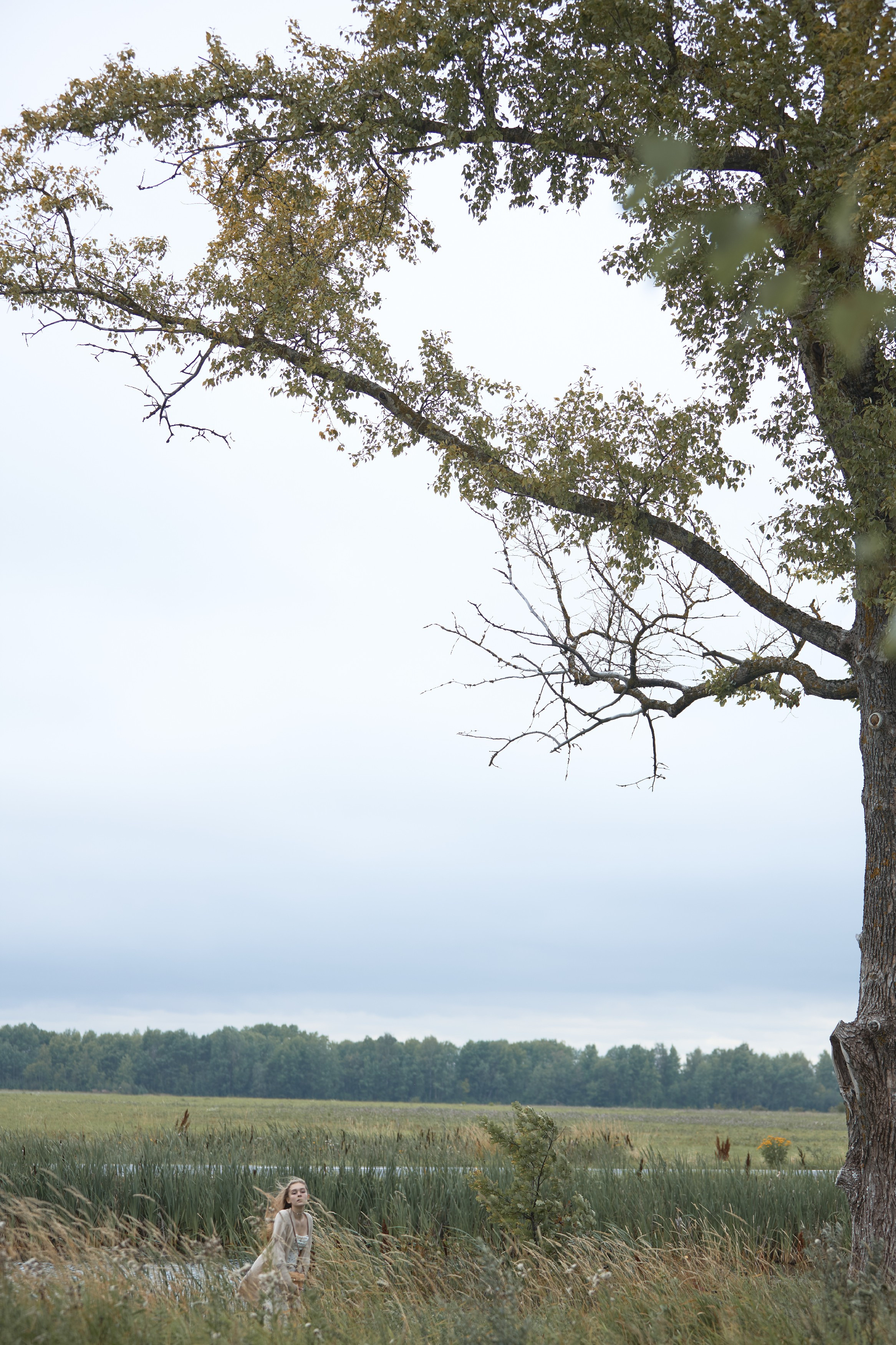 Окраина Царского Села, Соболевская дорога. FOTOFAQ SKOOL г. Санкт-Петербург: очные, дистанционные и онлайн курсы фотографии