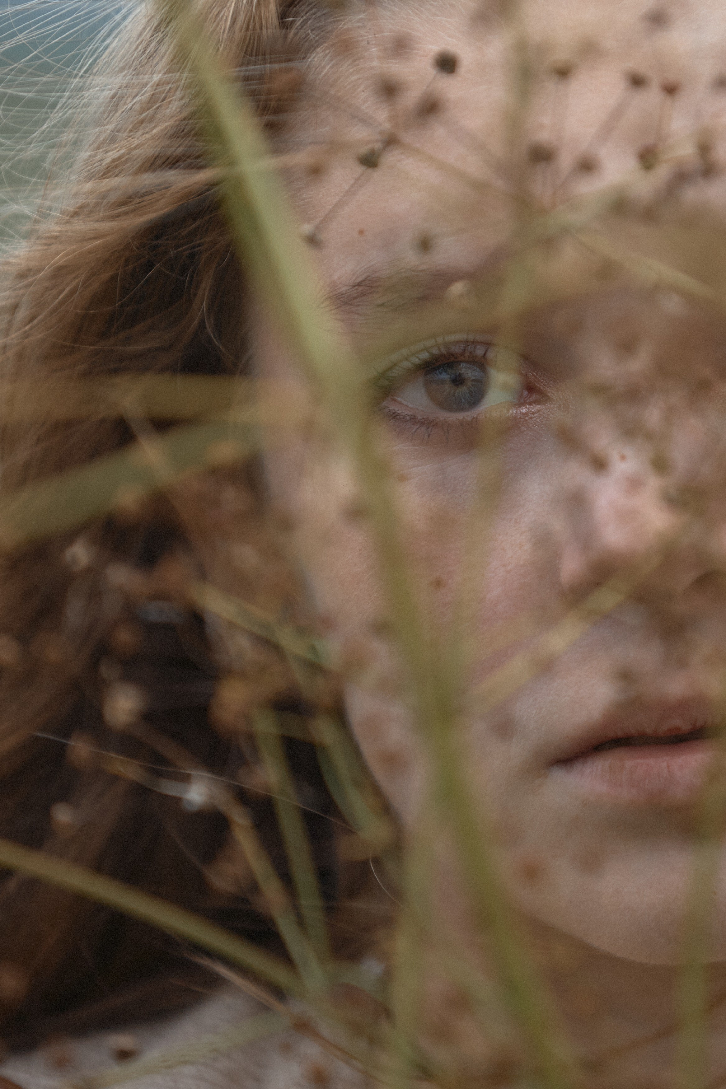 Окраина Царского Села, Соболевская дорога. FOTOFAQ SKOOL г. Санкт-Петербург: очные, дистанционные и онлайн курсы фотографии