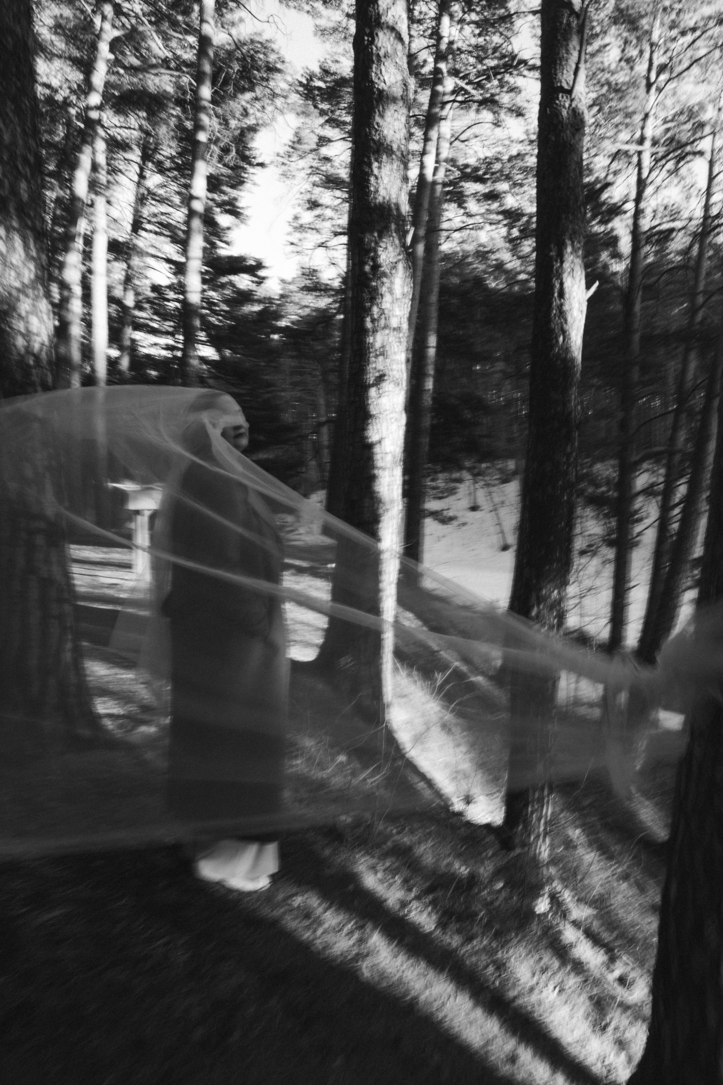 «Она несла в руках отвратительные, тревожные желтые цветы " Мастер и Маргарита М.Булгаков. Женский фотограф в Тюмени Наталья Фуртаева