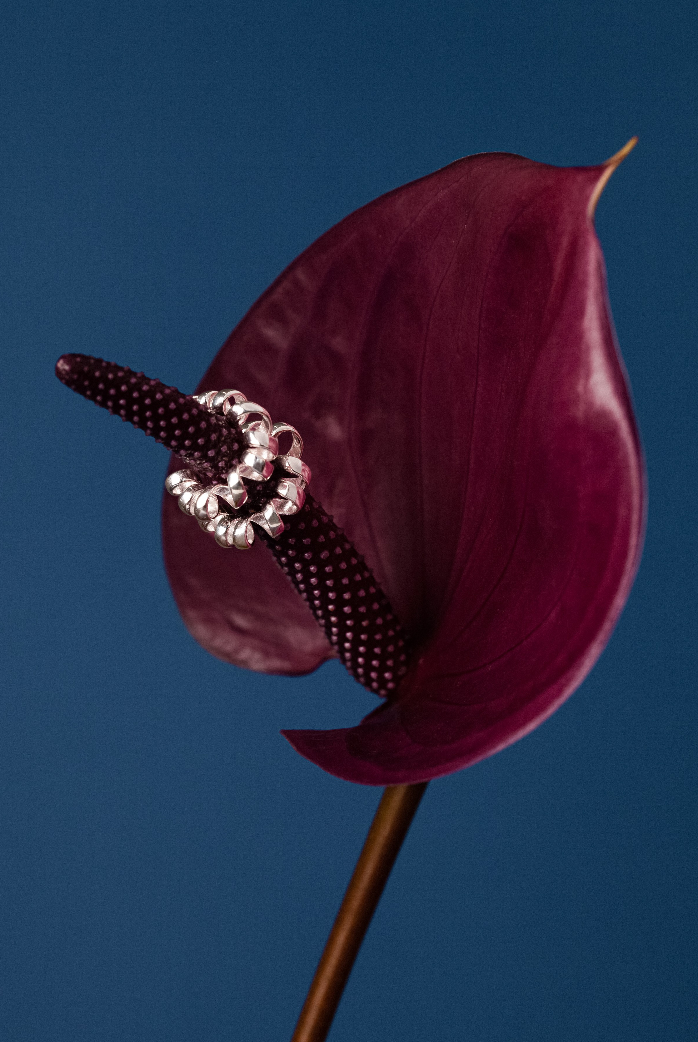 Художественный фотограф Екатерина Серова