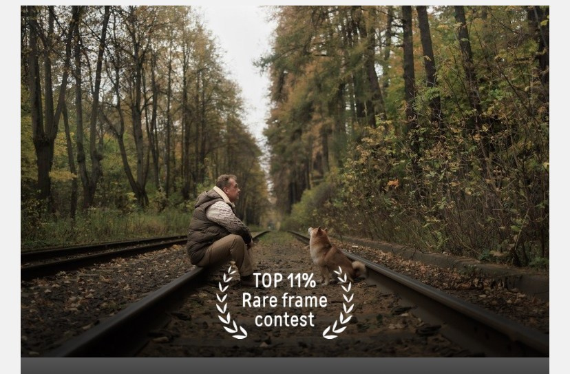 Фотопремии