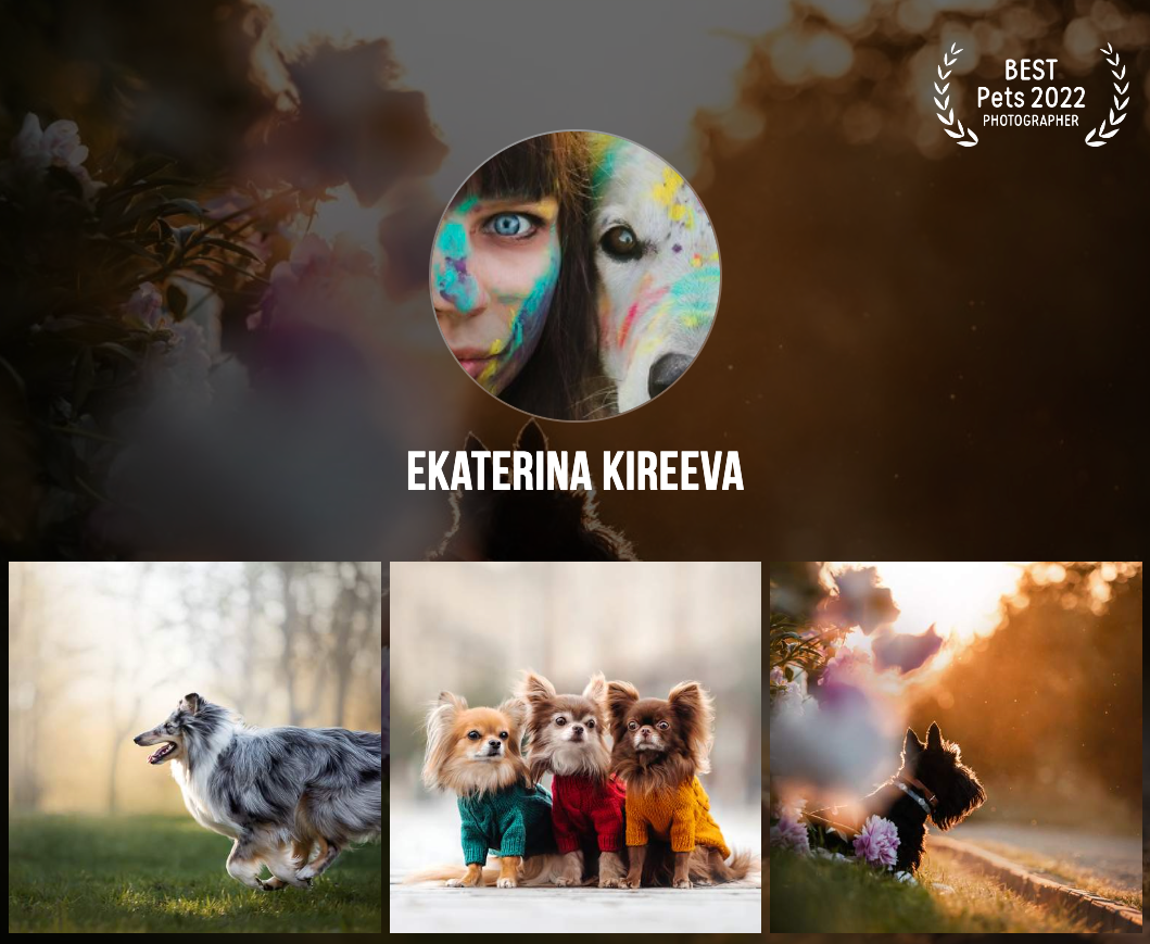 Семейный фотограф животных, анималист в Москве Екатерина Киреева