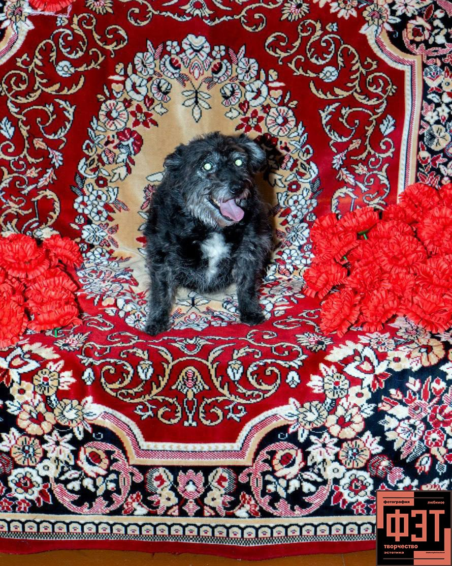 Фотопроект «ФЭТ: Фотография, Эстетика, Творчество»