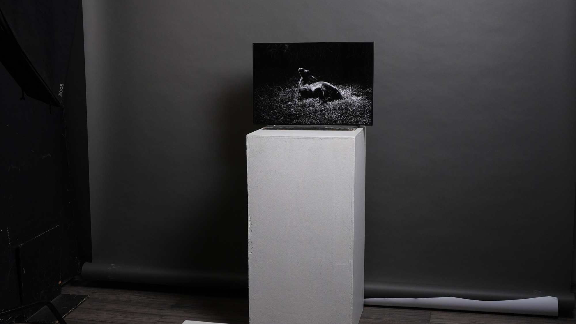 Фотограф Гундров Эдуард