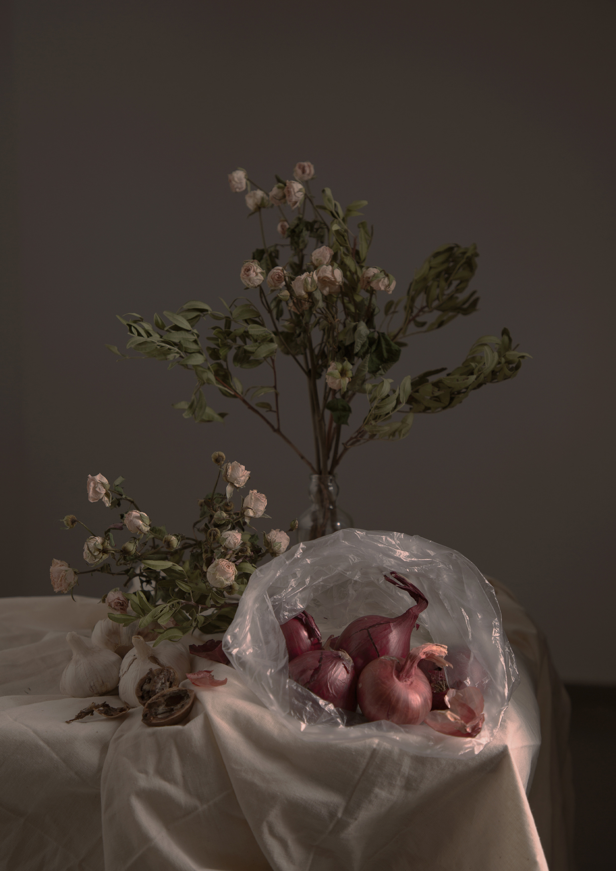 Пакет/pakket (2020). Фотограф Полина Треногина