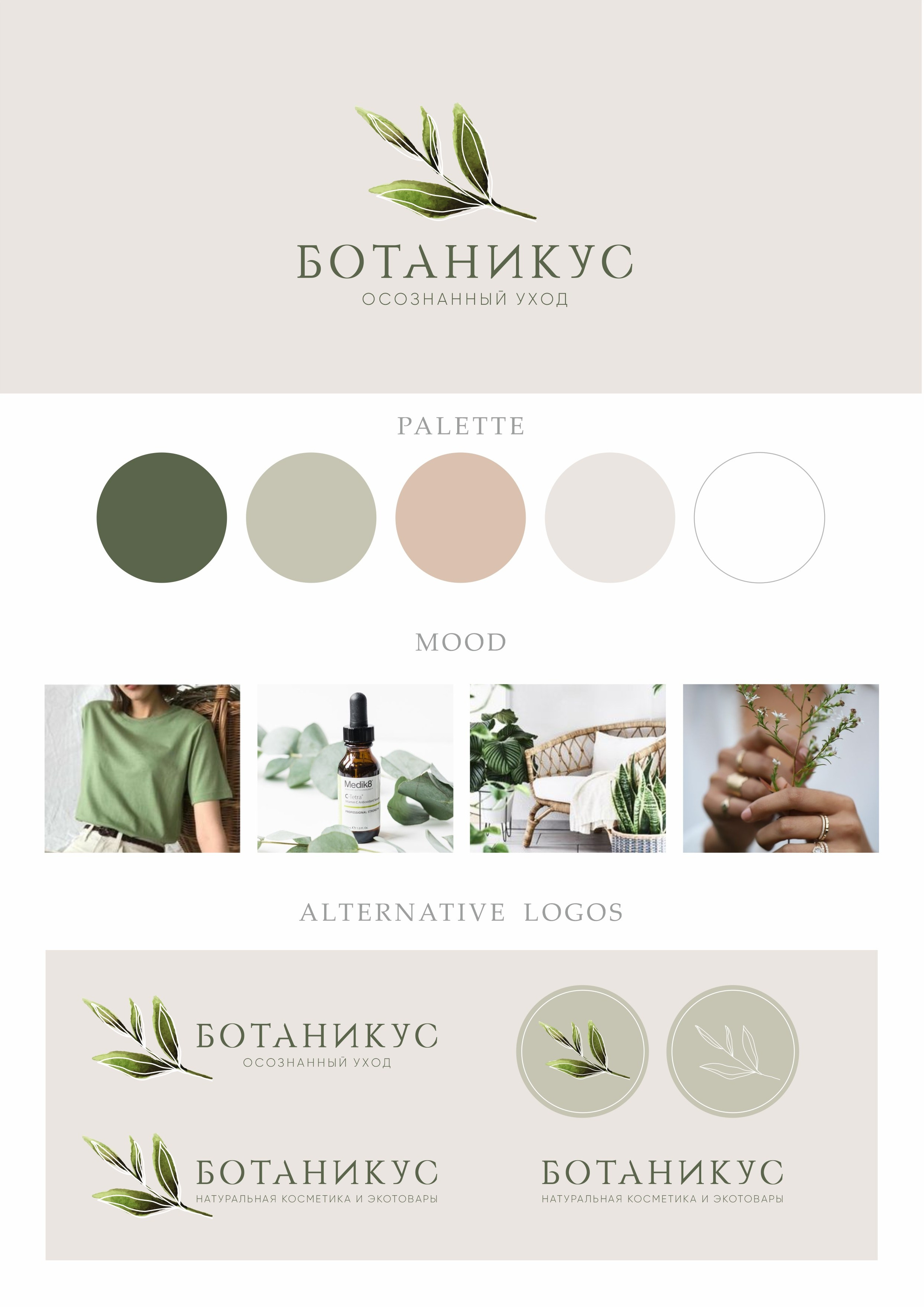 Логотип и фирменный стиль, Ботаникус