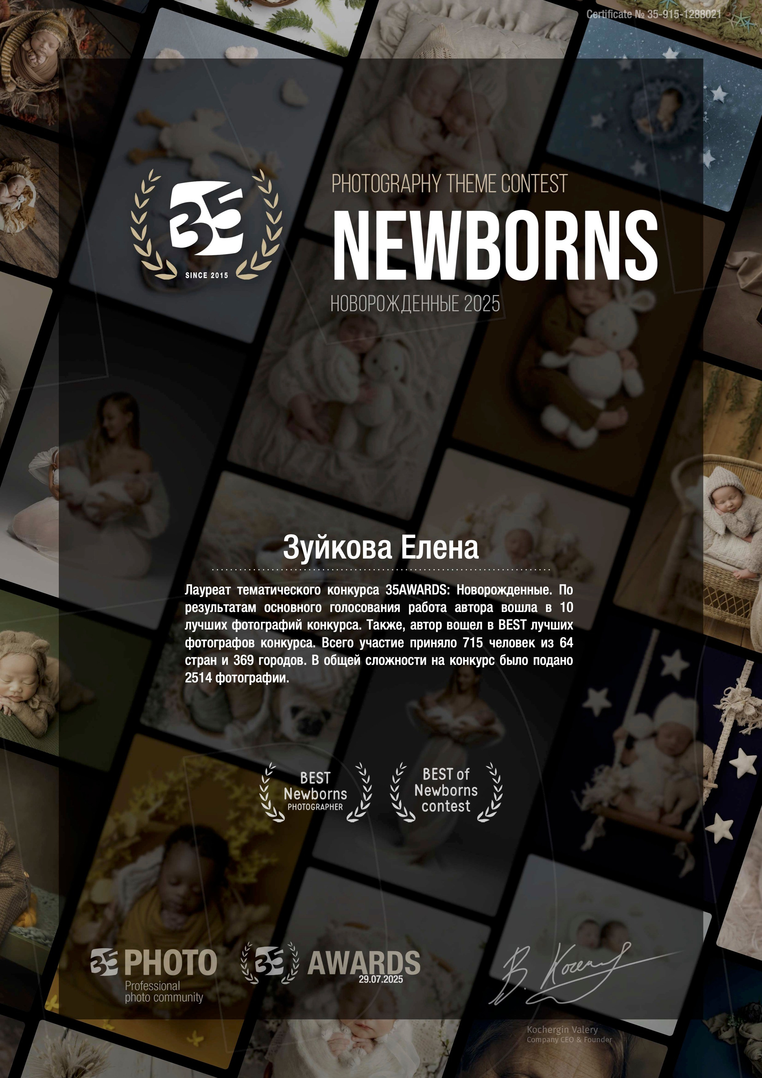 Познакомиться поближе. Фотограф Елена Зуйкова