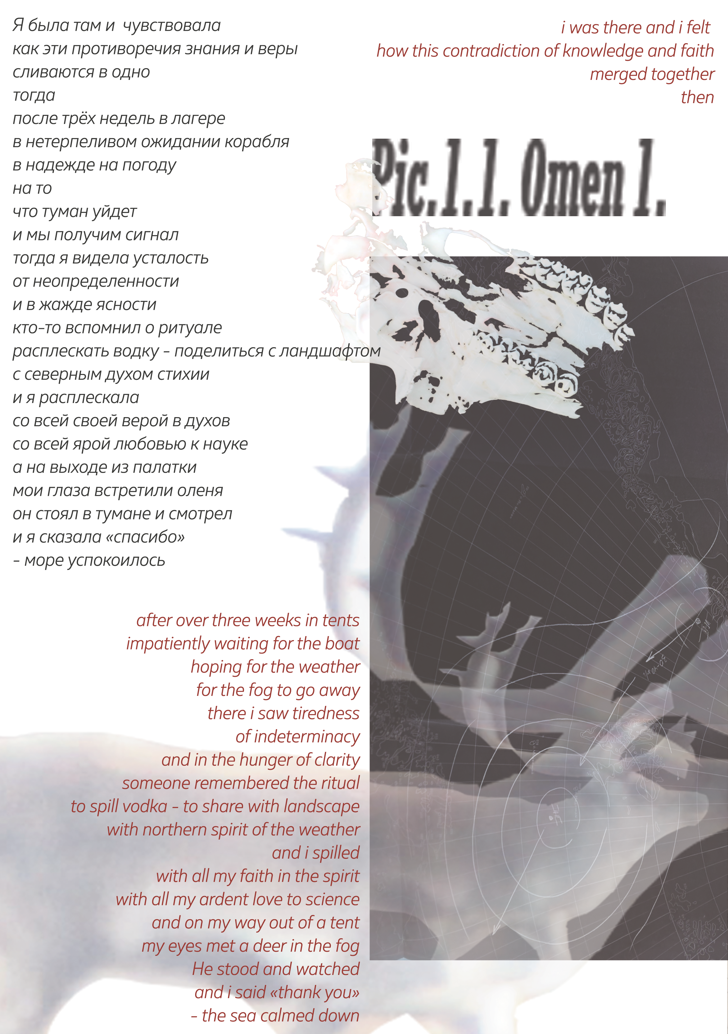 Zine POLARNIK. Xexexena.ru