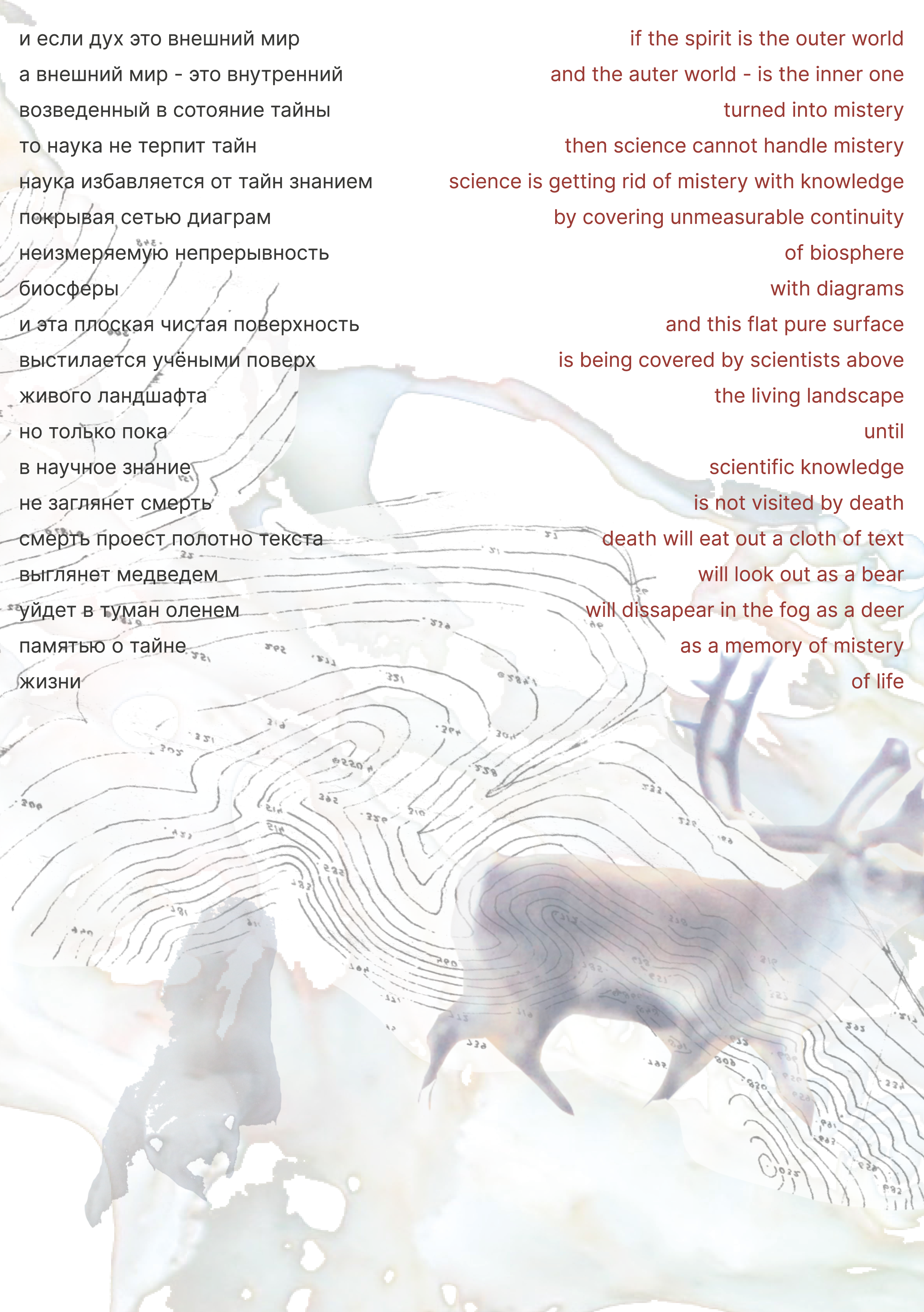 Zine POLARNIK. Xexexena.ru