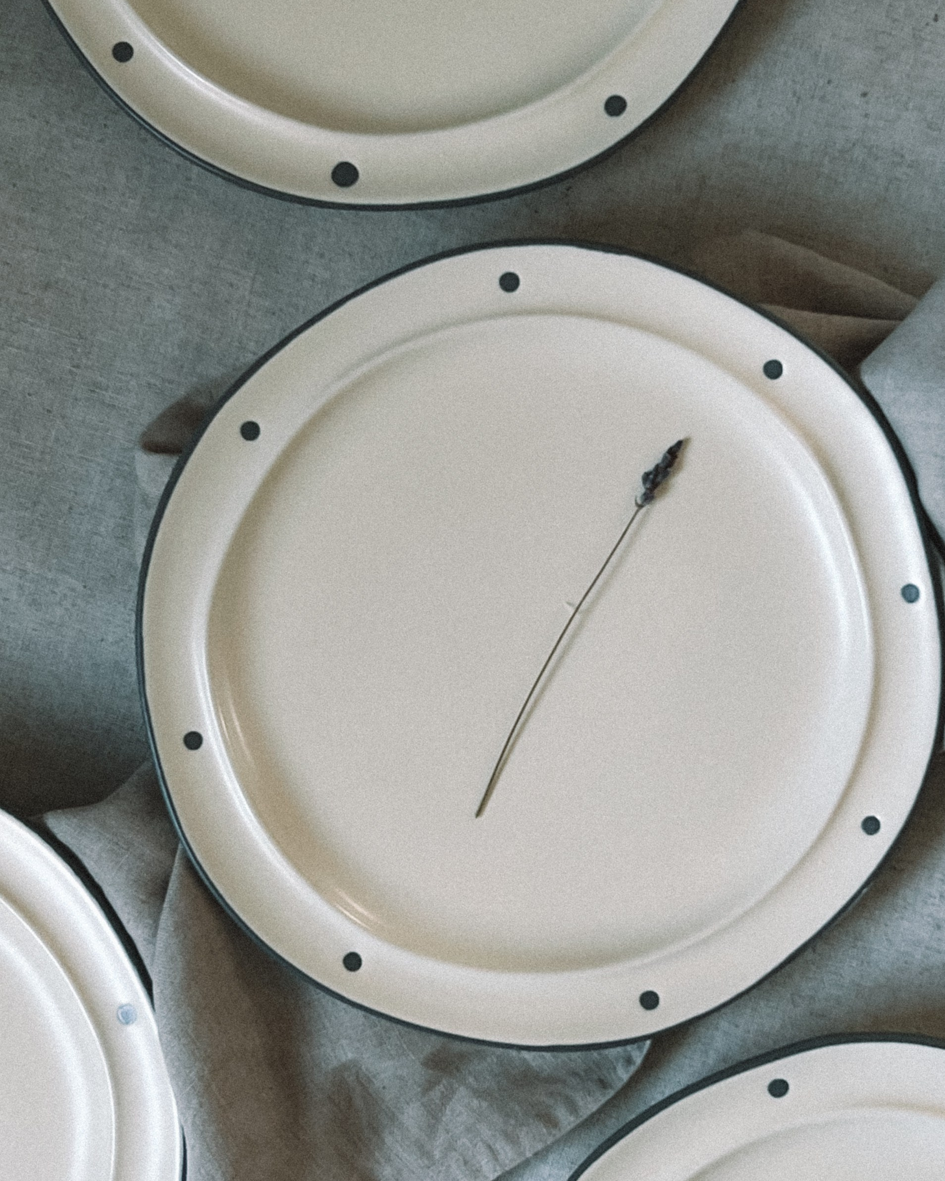 Фотограф Анастасия Дмитриева