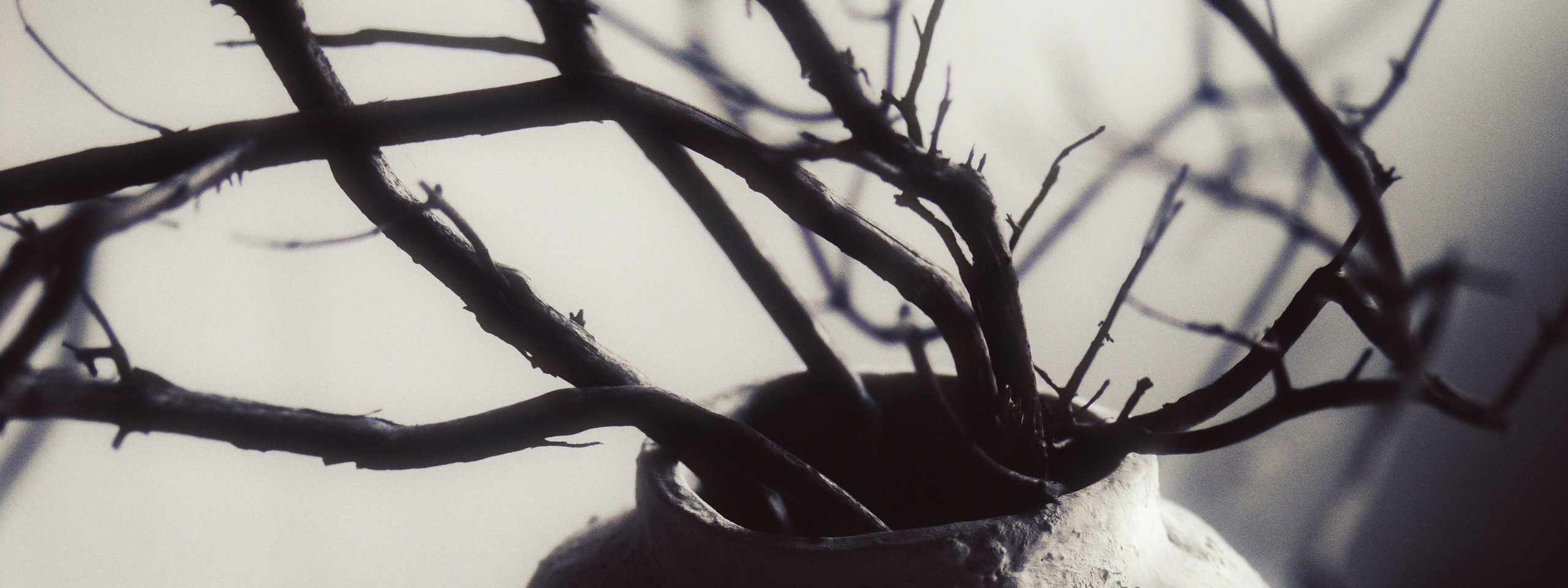 Gabriel Ceramics — Керамика ручной работы