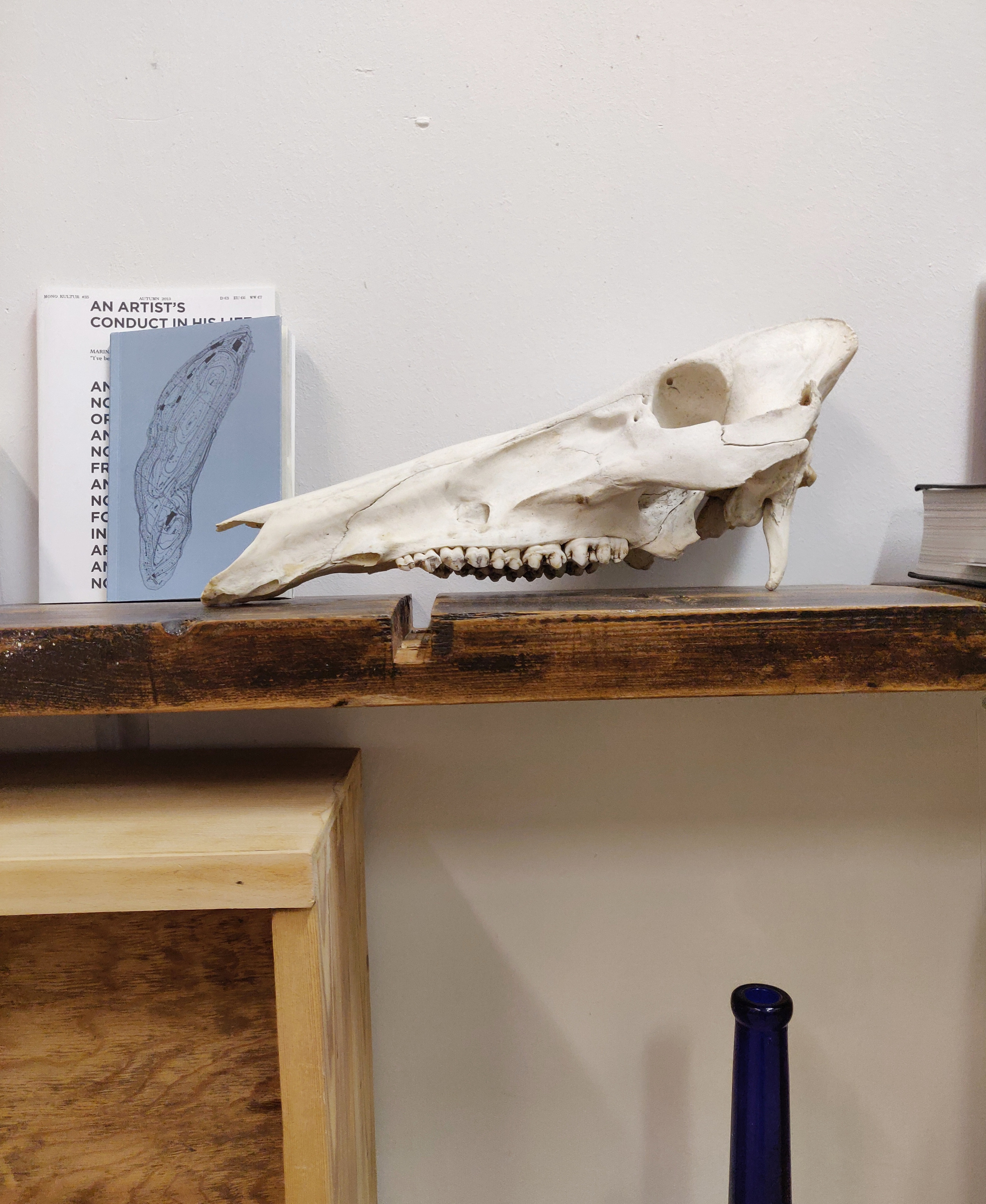 Онлайн-резиденция для художников от Room and Wall