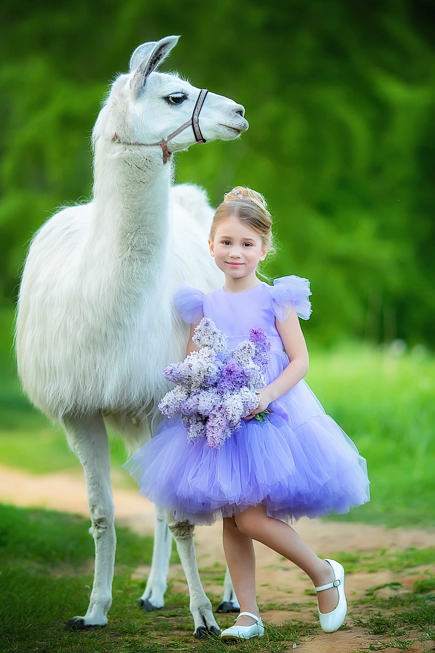 Путешествуем вместе