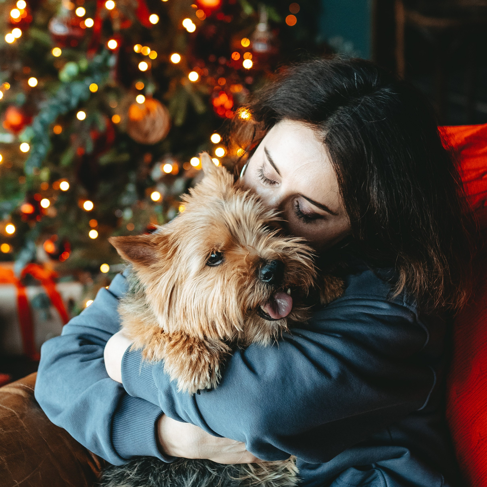 фотосъёмка для ваших питомцев