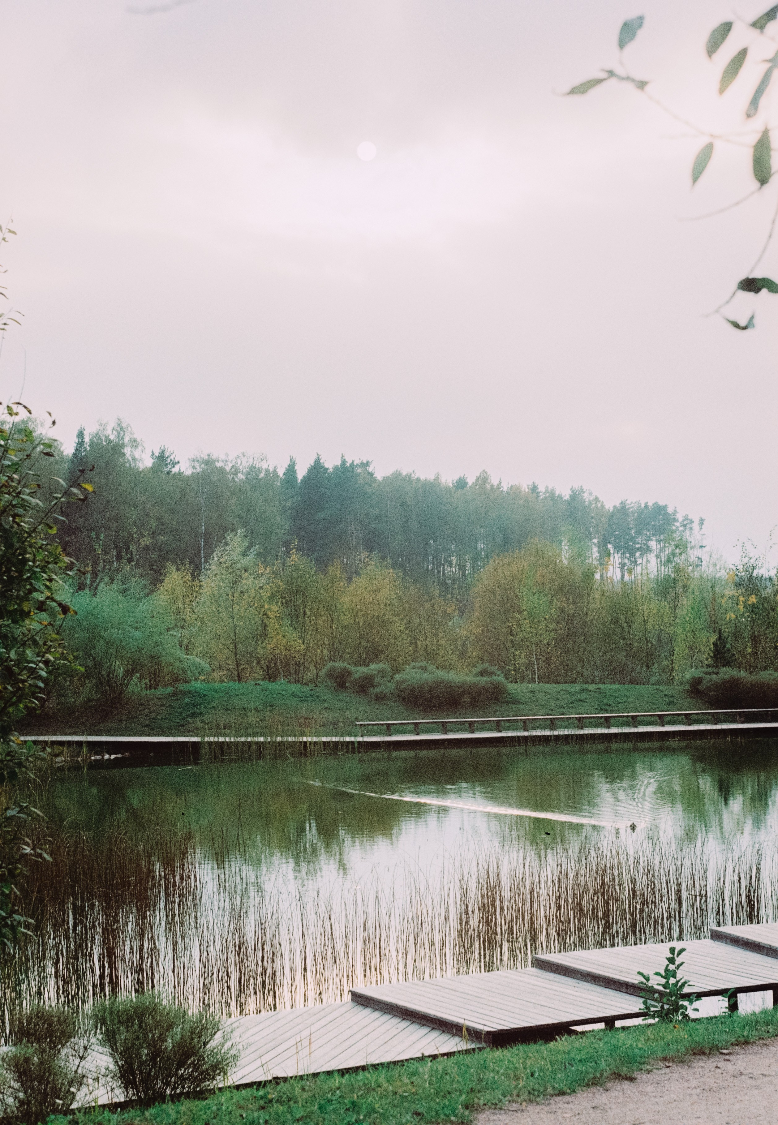 Первые кадры на пленку. Фотограф из Москвы — DASHA NOVA | Авторская фотография в разных жанрах