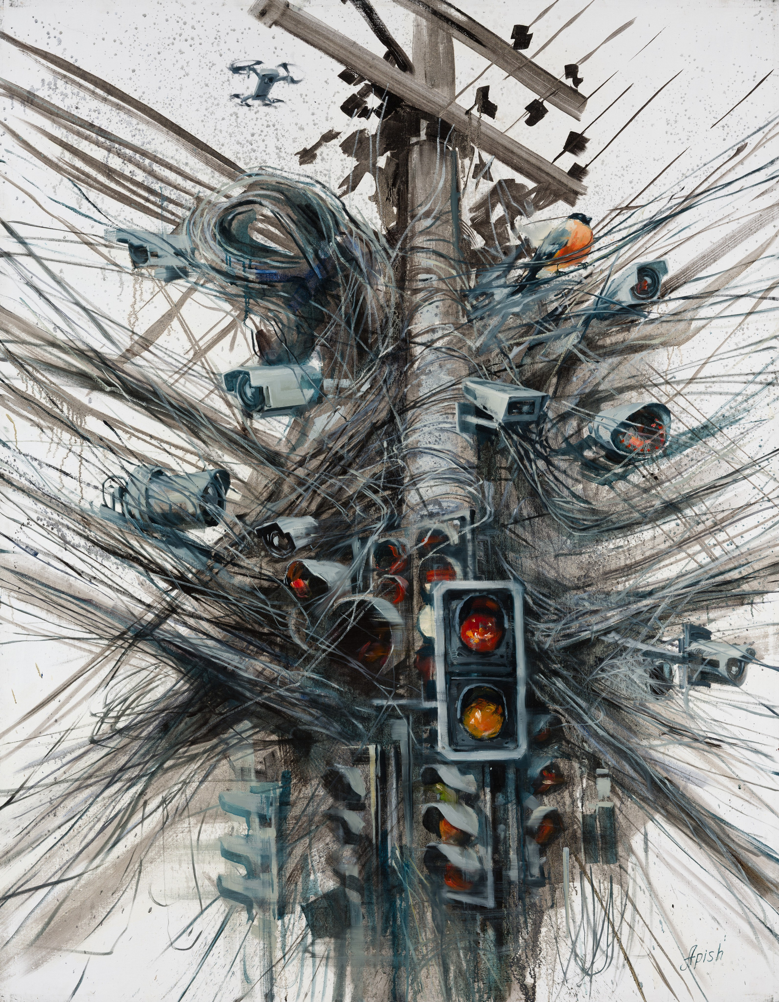 «Паутина контроля» - Алексей Апиш