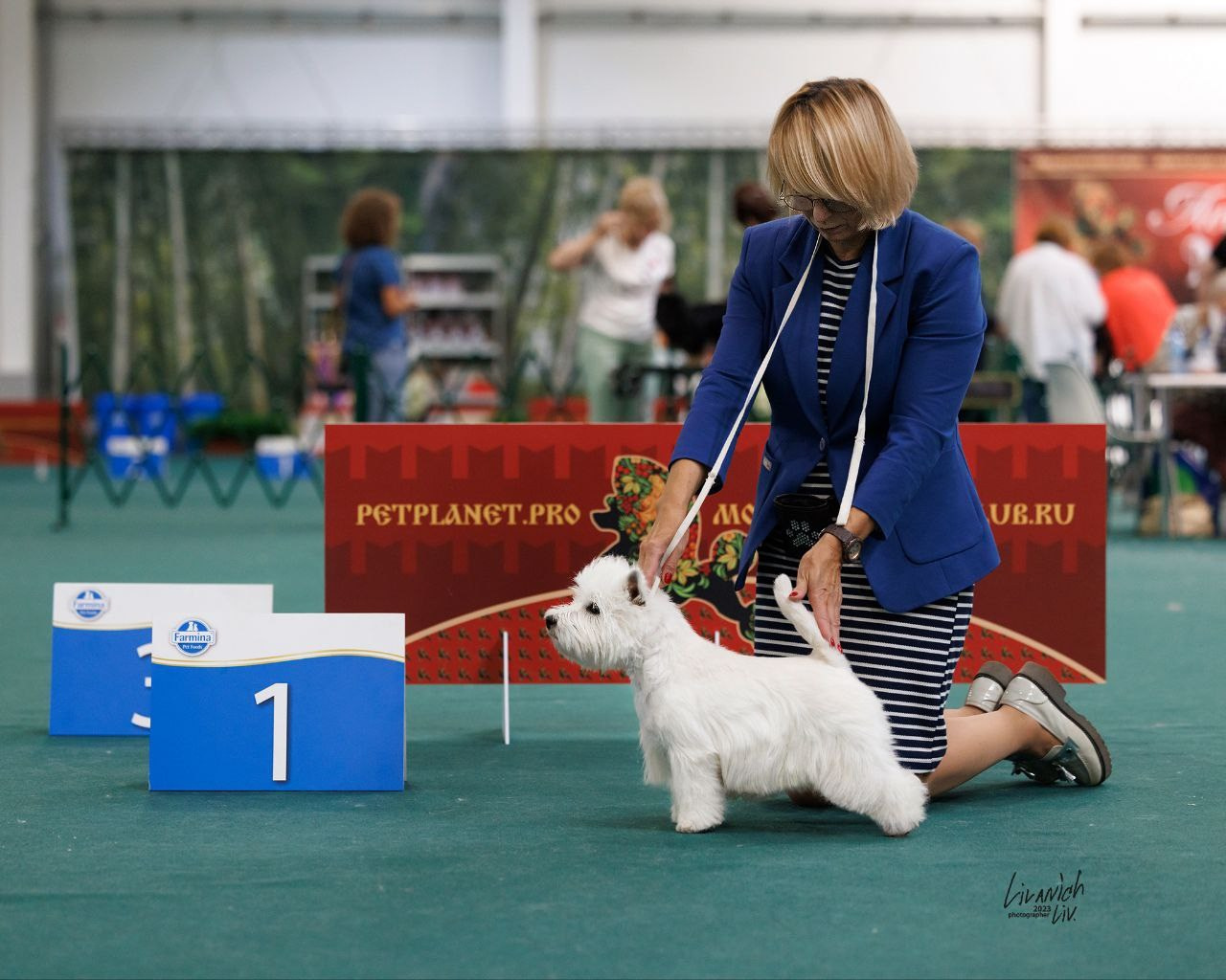 Национальная выставка всех пород САС/Чемпион РКФ «КУБОК ЛИДЕРА 2023». Питомник собак породы вест хайленд вайт терьер в Москве