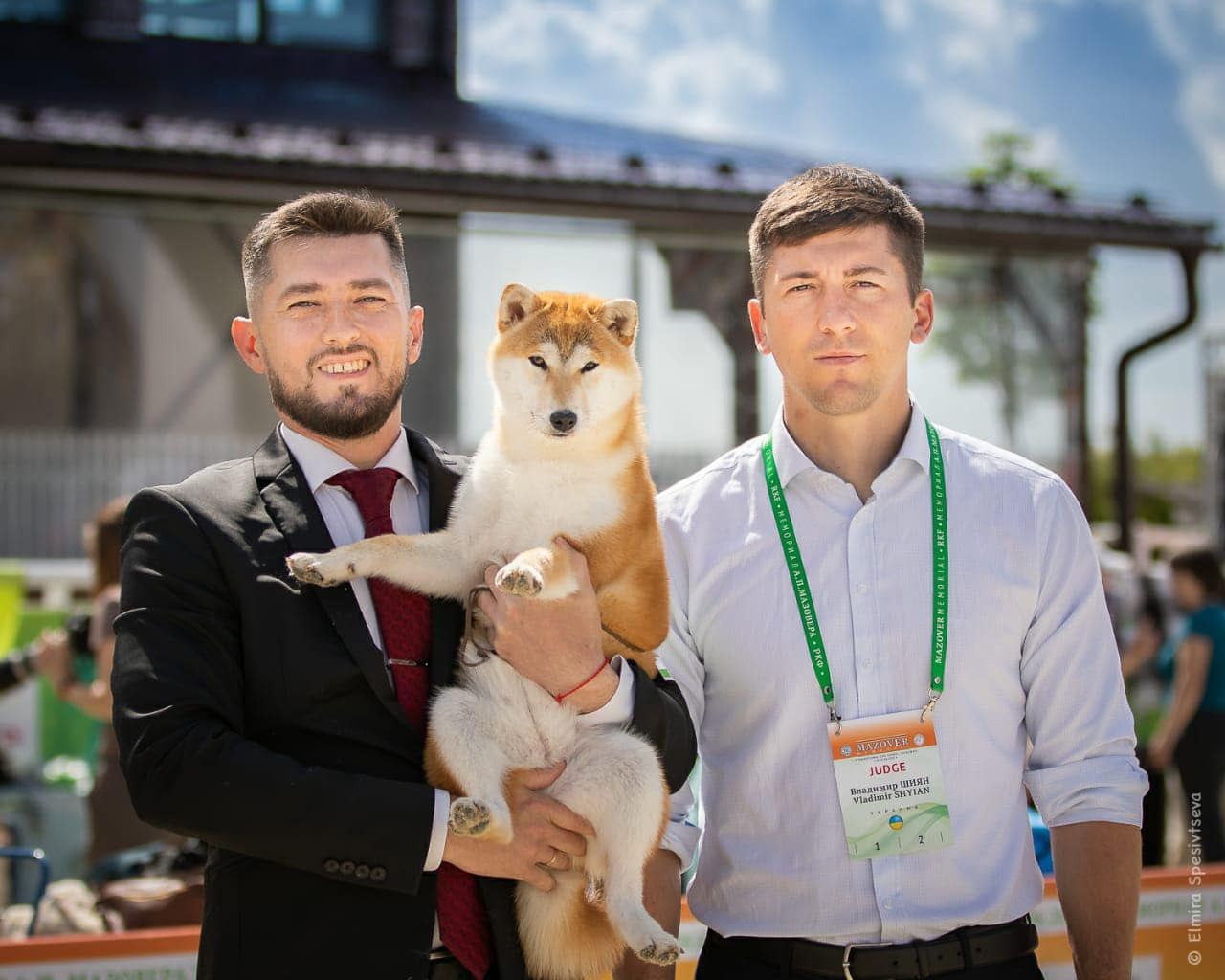 2021. SHIOMARU Питомник сиба и акита-ину