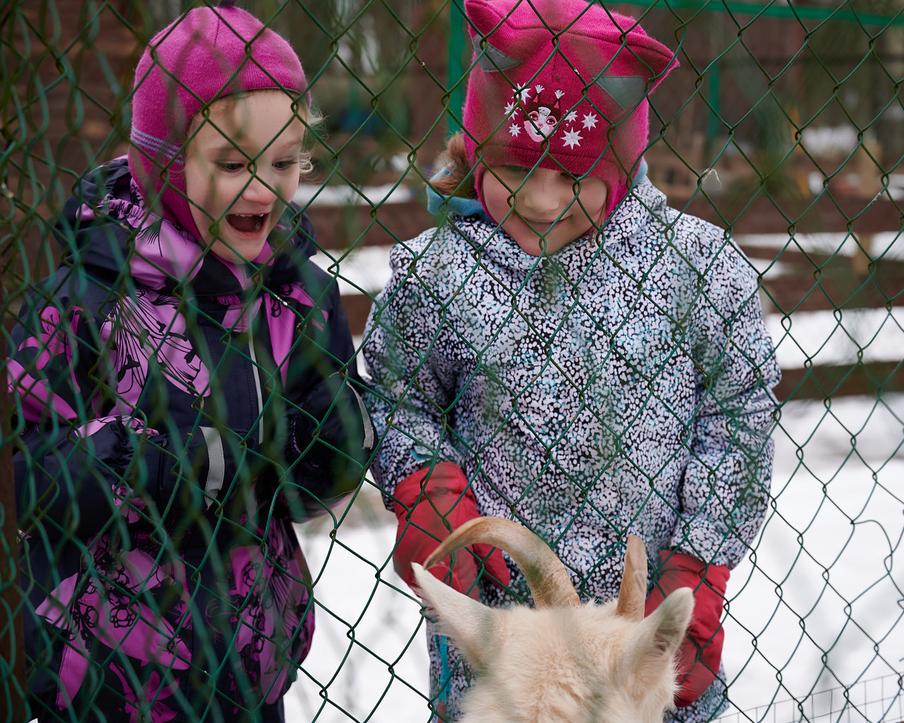 Nikkor Z 24-70 f/4 S как объектив для путешествий. Флористическая, интерьерная и портретная съемка в Москве и Европе