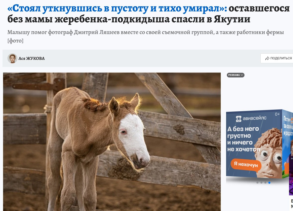 ПРЕССА ОБО МНЕ. Фотограф Дмитрий ЛЯШЕЕВ