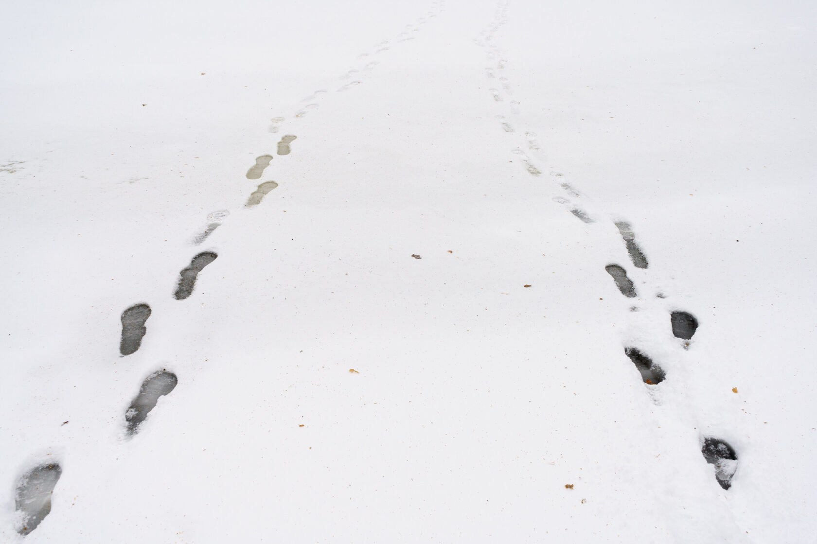 Траектория — Александр Барановский