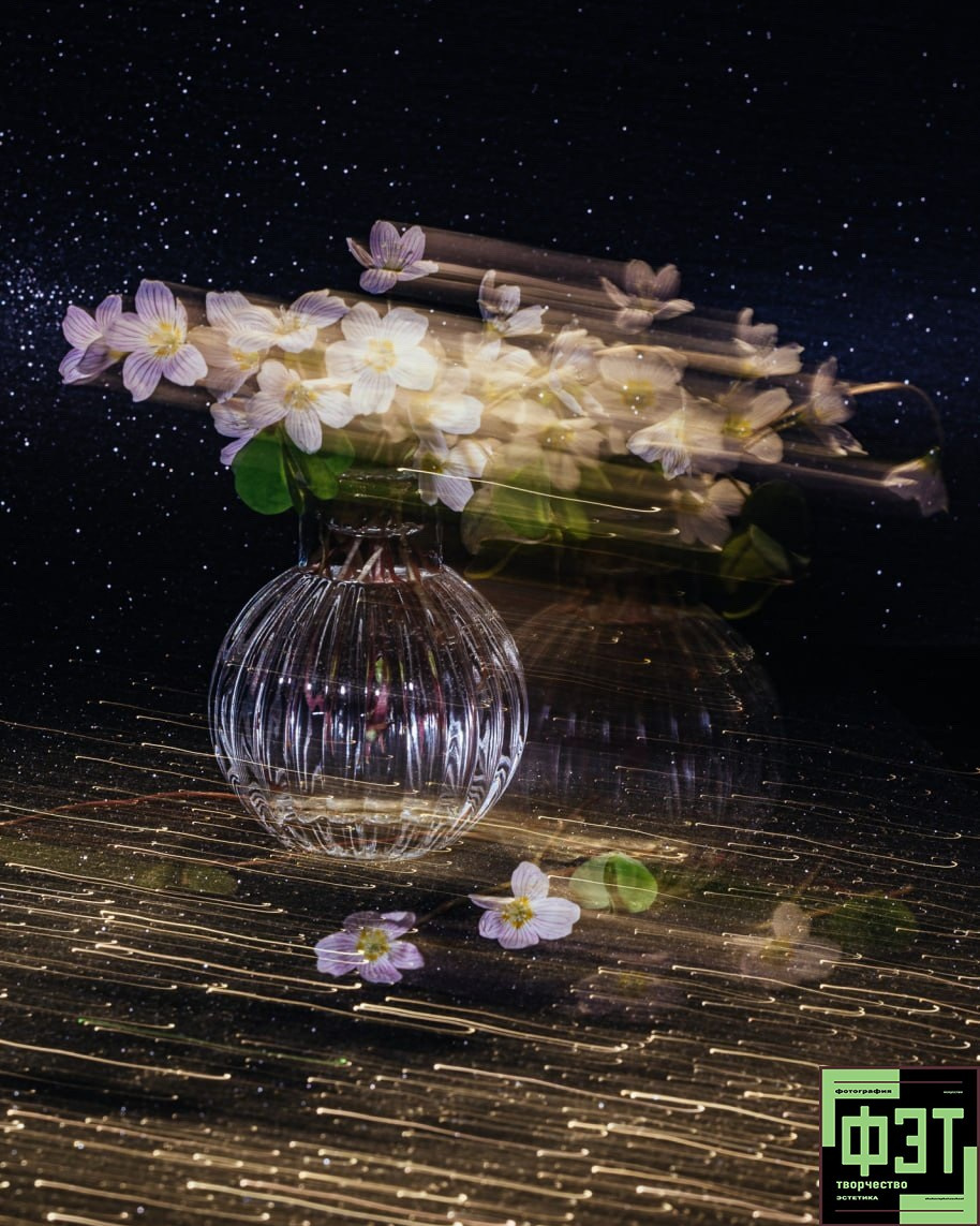 Наталья Переверзева