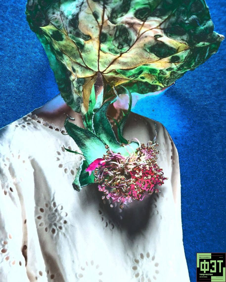 Альбом 15.02.26 в рамках ФЭТ