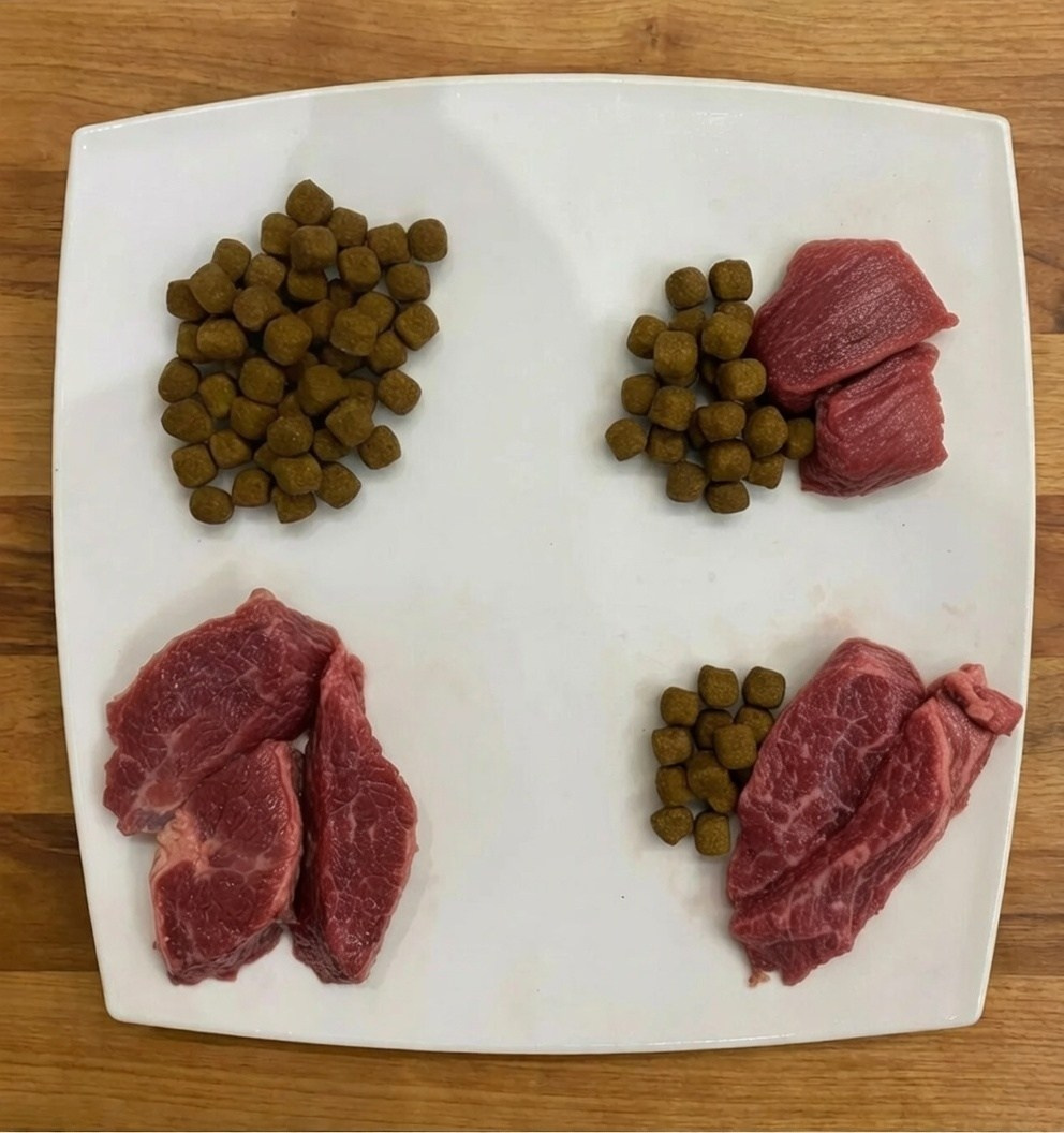 Услуги. Дрессировка собак в калуге | Команда К40