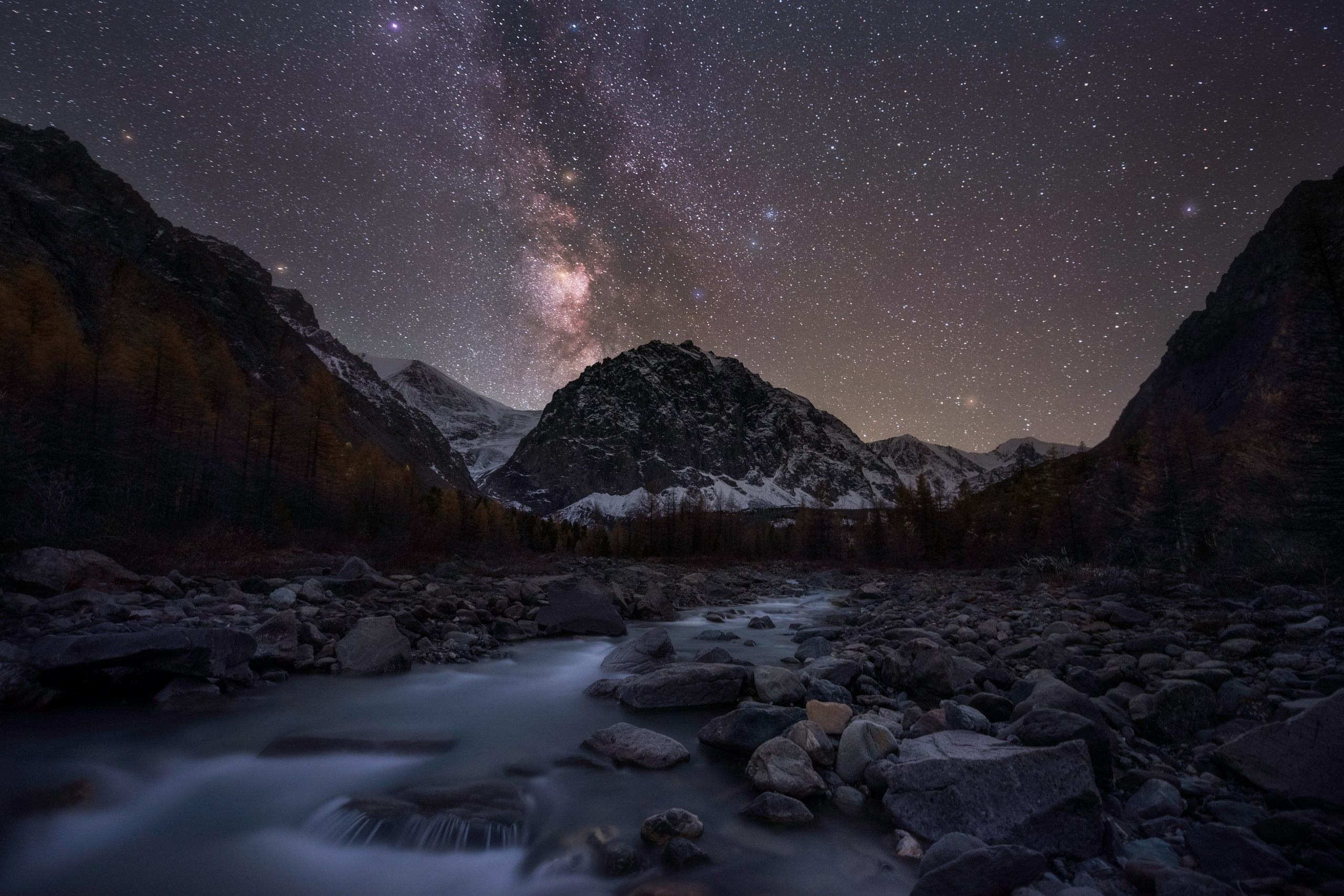 Portfolio Award 2024