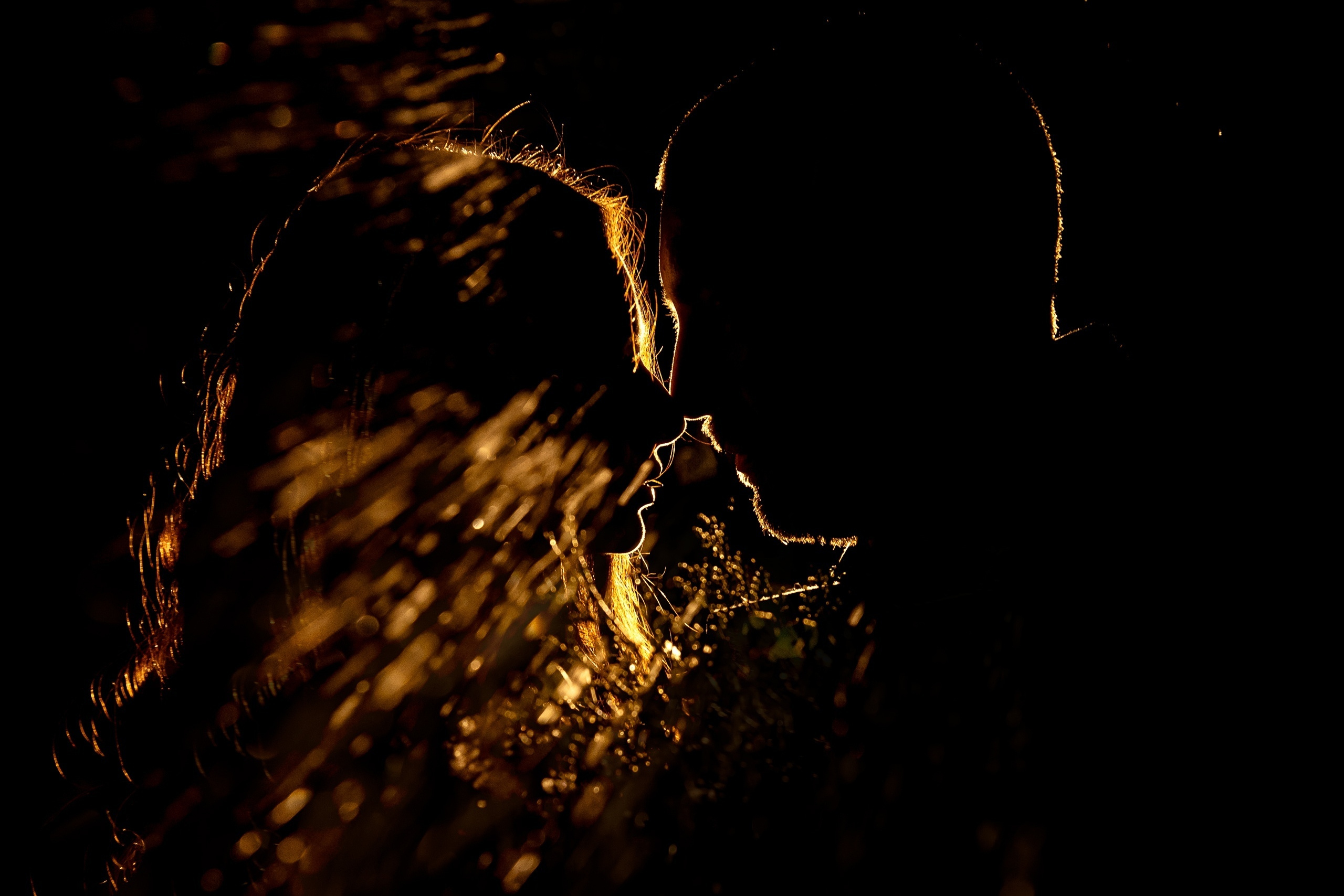 Стоимость свадебной фотосъемки. Свадебный Фотограф в Челябинске Василий Гладченко