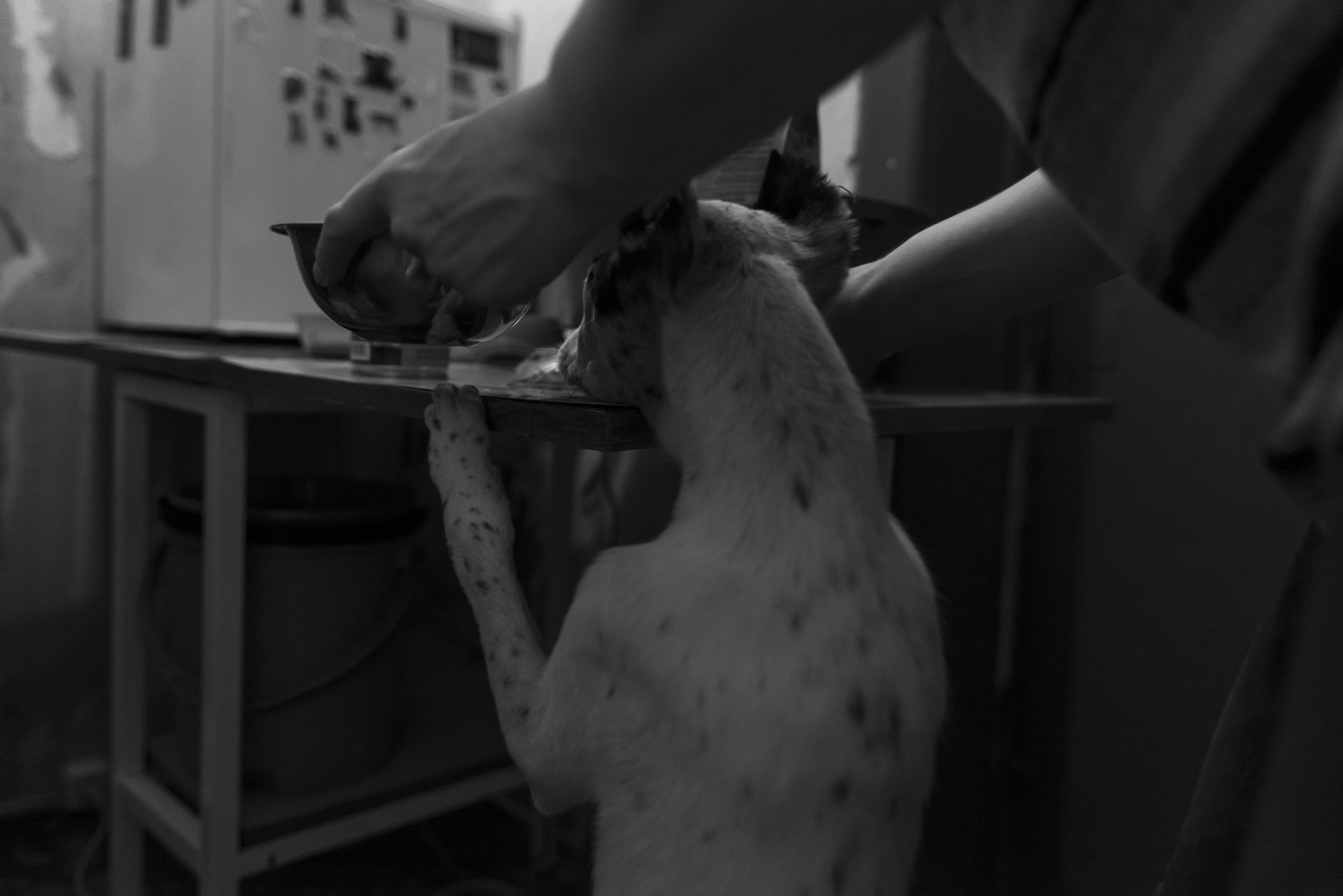 A place where light lives. Plechinta Ekaterina documentary photographer