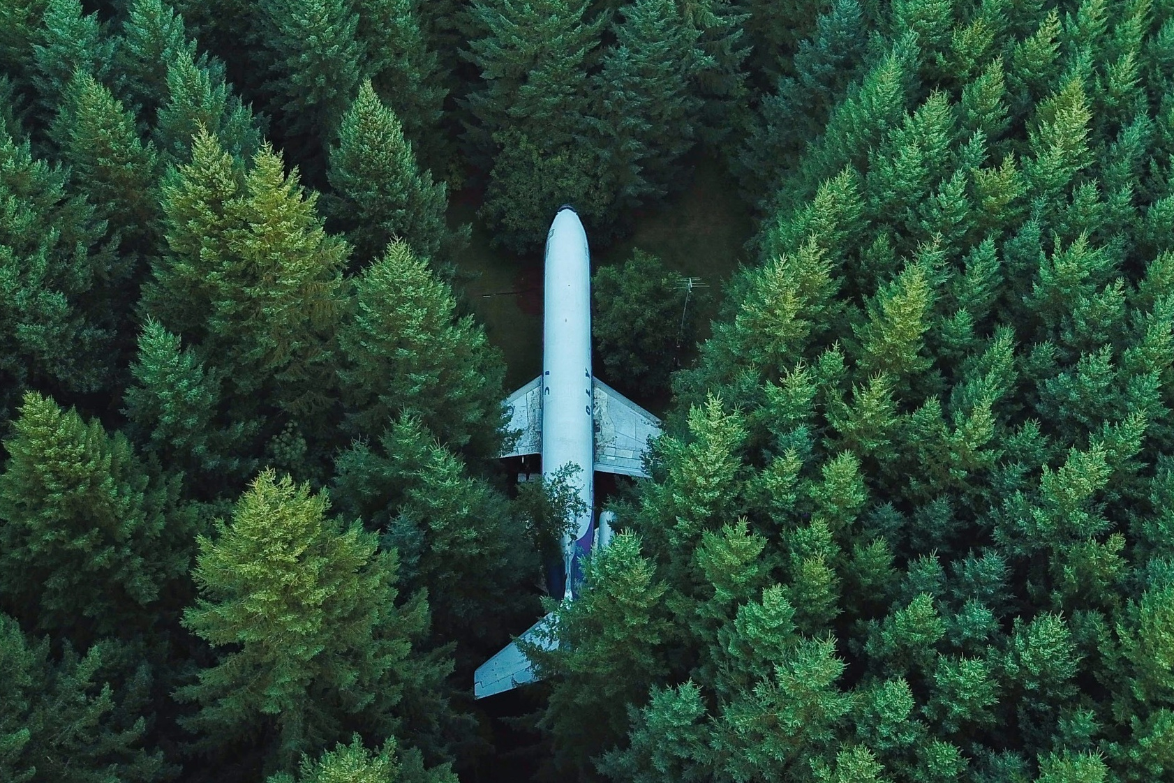 Стоимость услуг. Семейный, детский и свадебный фотограф в Брянске, Москве и Белорецке О