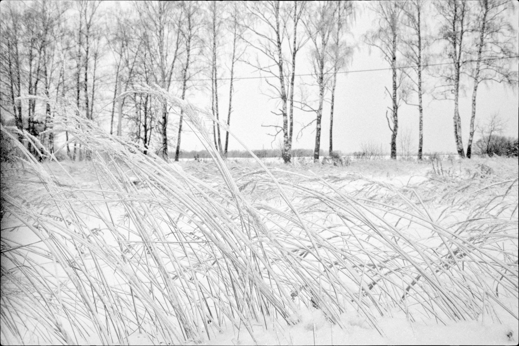 Зима муми-троллей. Artkapella|Олег Кузнецов