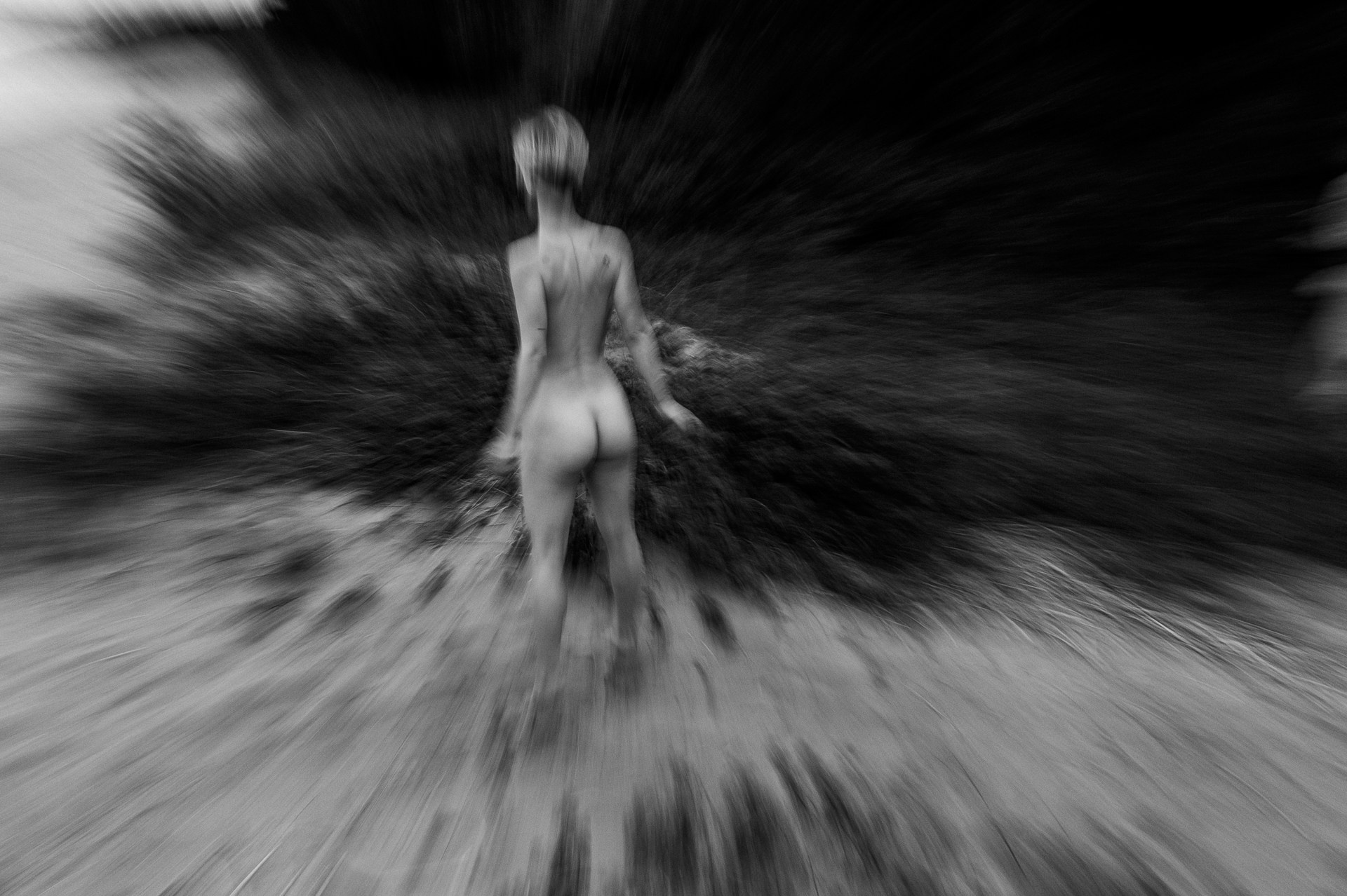 Черешня. …