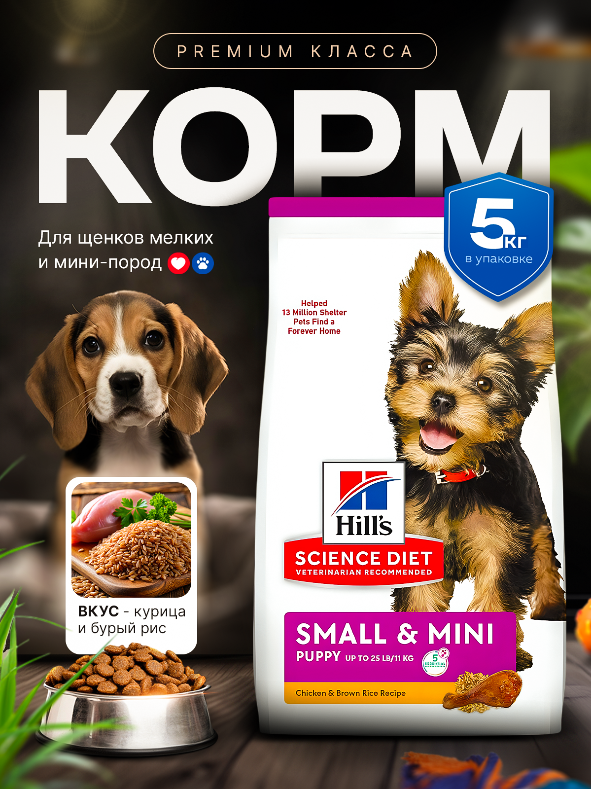 Ai-креатор Korzheva