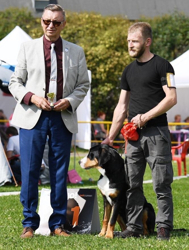 Победы на выставках собак питомника Санбёдс. Питомник Больших Швейцарских Зенненхундов в Калужской области