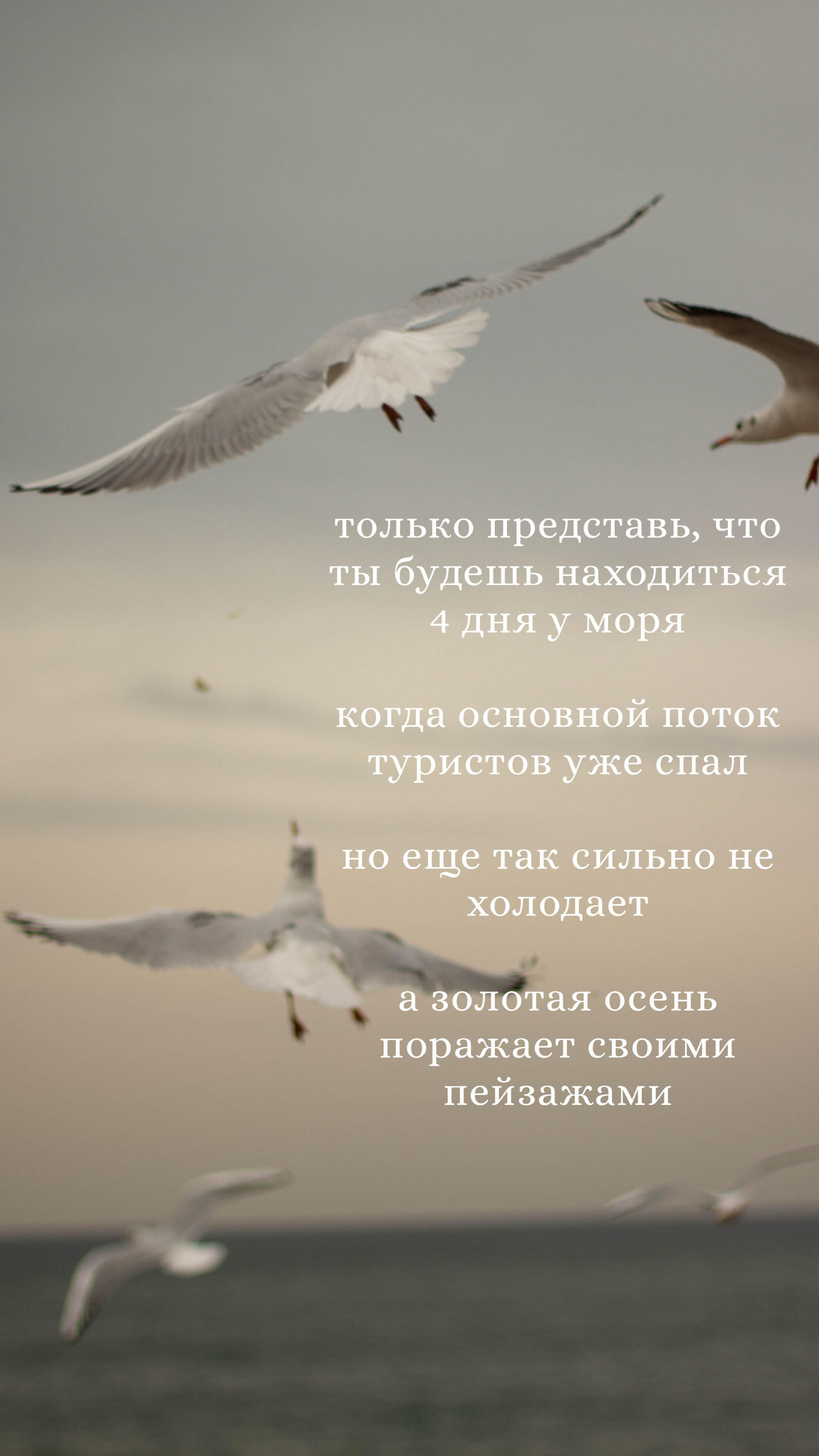 Путешествие с нами в Зеленоградск. Анна Чугунова, свадебный фотограф Санкт_ Петербург,Смоленск, Москва