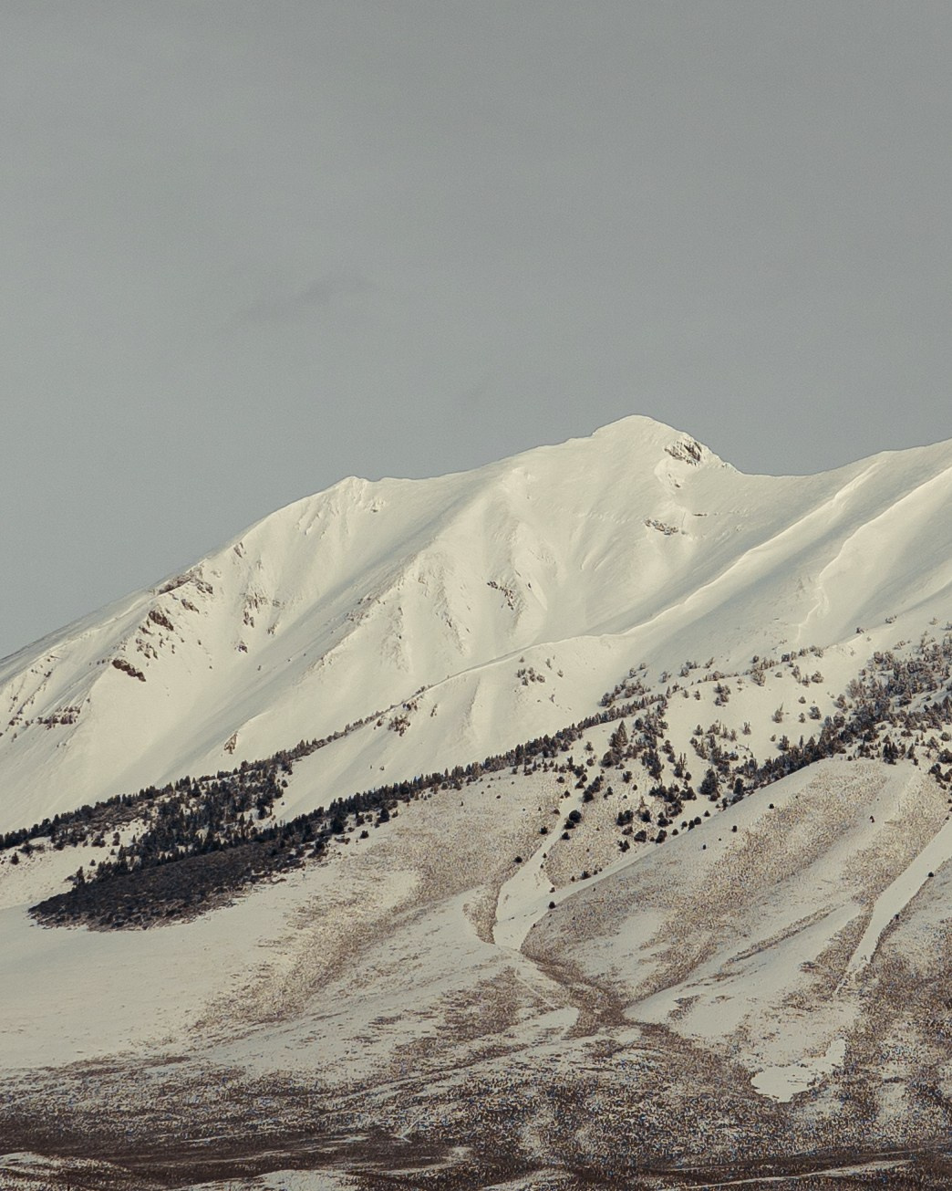 PRINT. Art Photographer Anastasiia Maiskaya