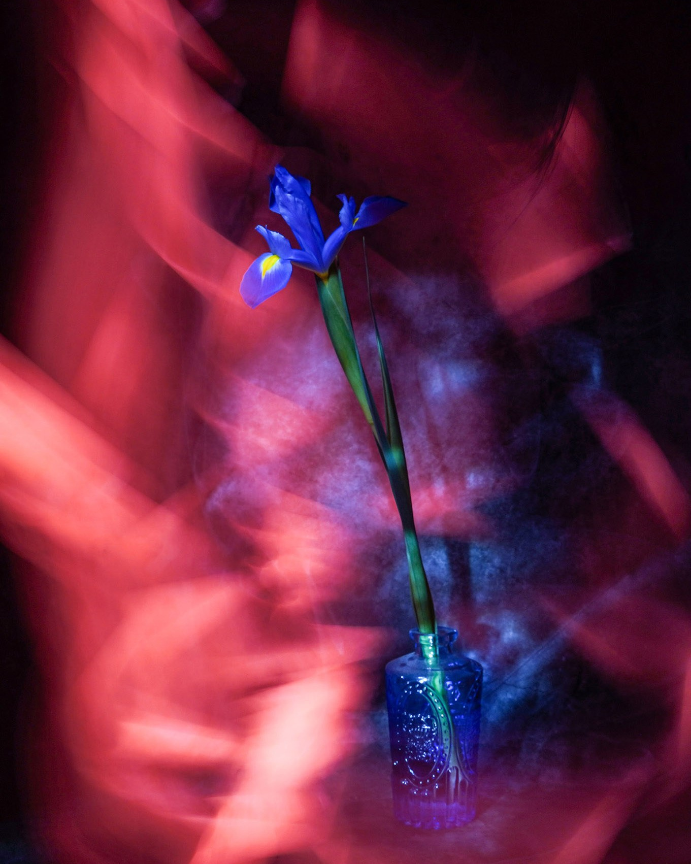 Светопись. Фотохудожник Татьяна Бойцова