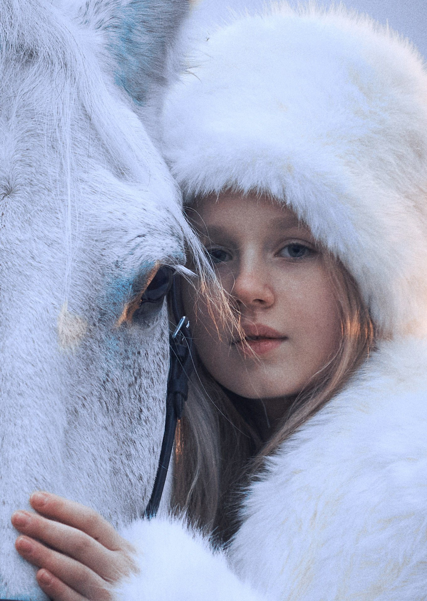 Фототур. Зима в Суздале. 2 — 4 декабря. Елена Шумилова
