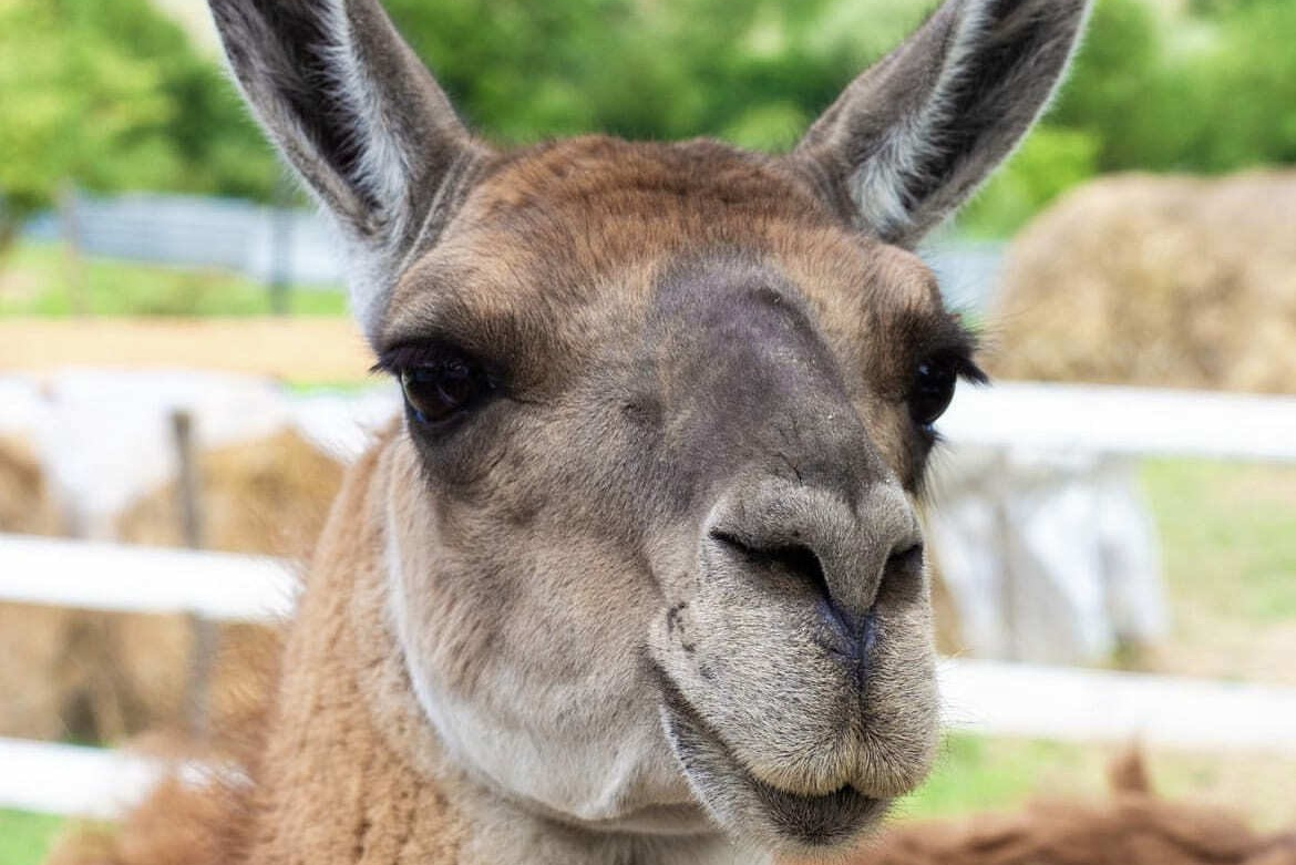 Локации и маршруты